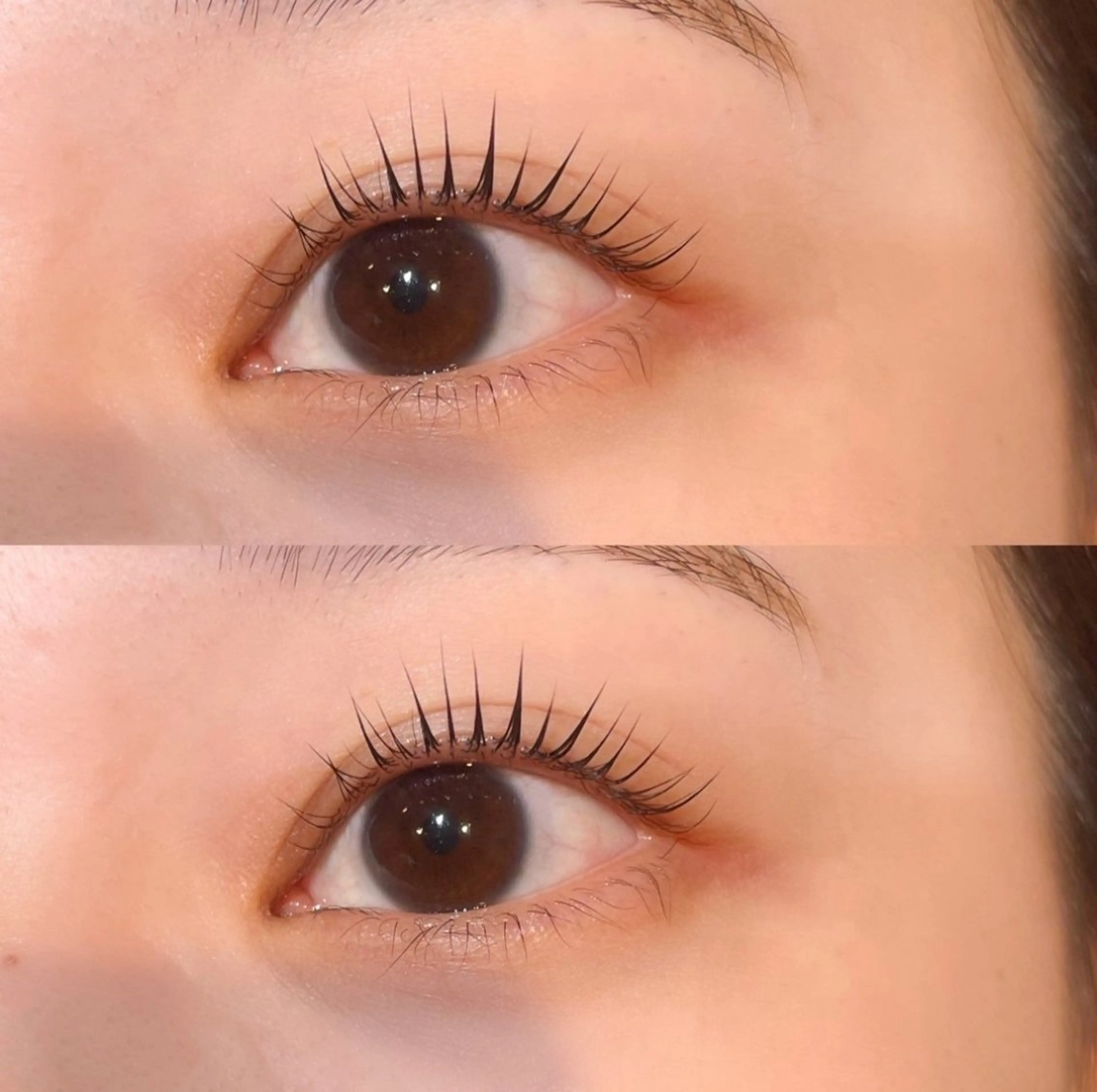 🤍ミニモ限定価格🤍《当日予約の方限定》パリジェンヌラッシュリフト🎀の写真