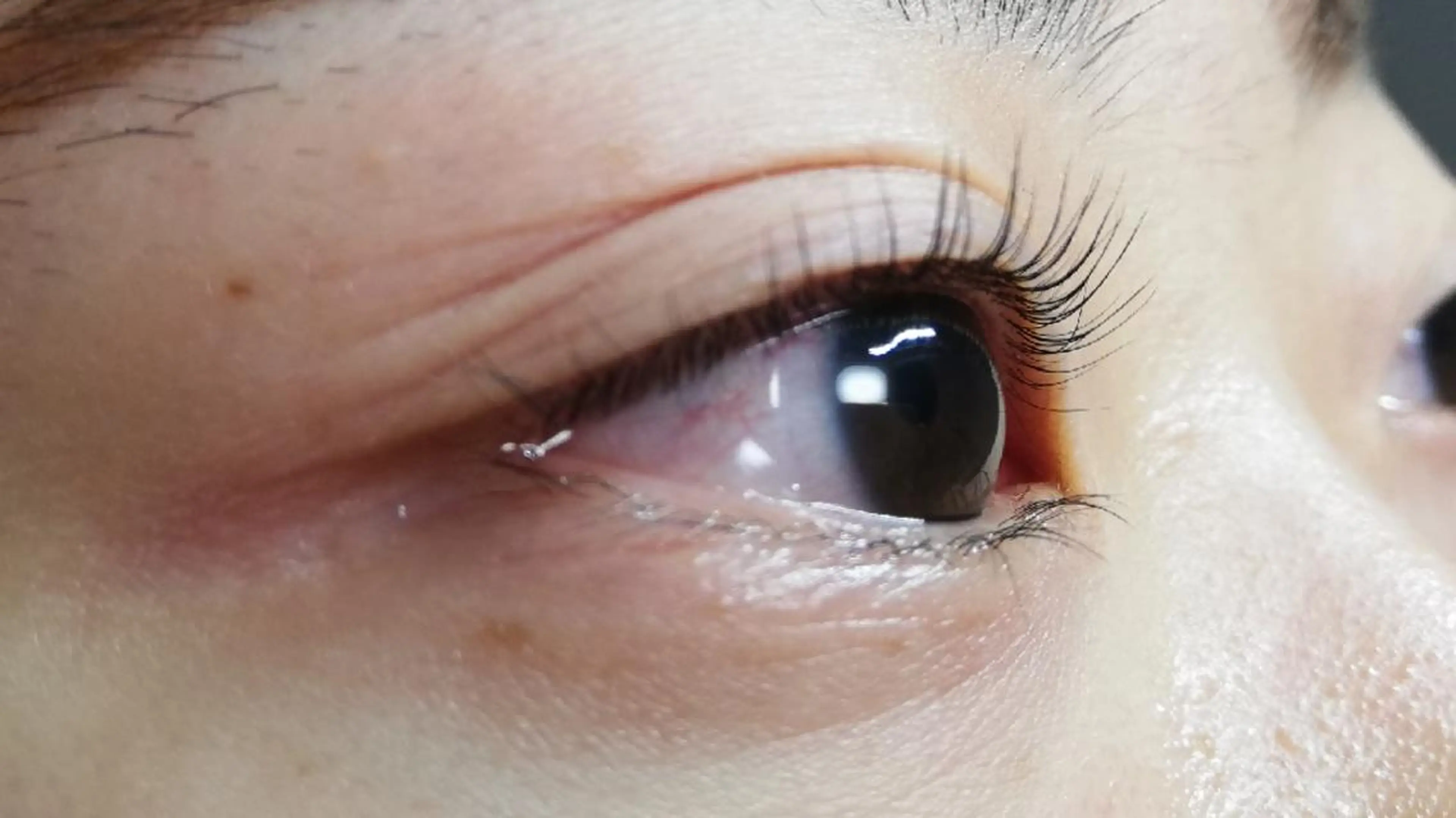 マツエク・マツパ angelux 所属・完全個室サロン🌹 angelux🌹のマツエク・マツパデザイン