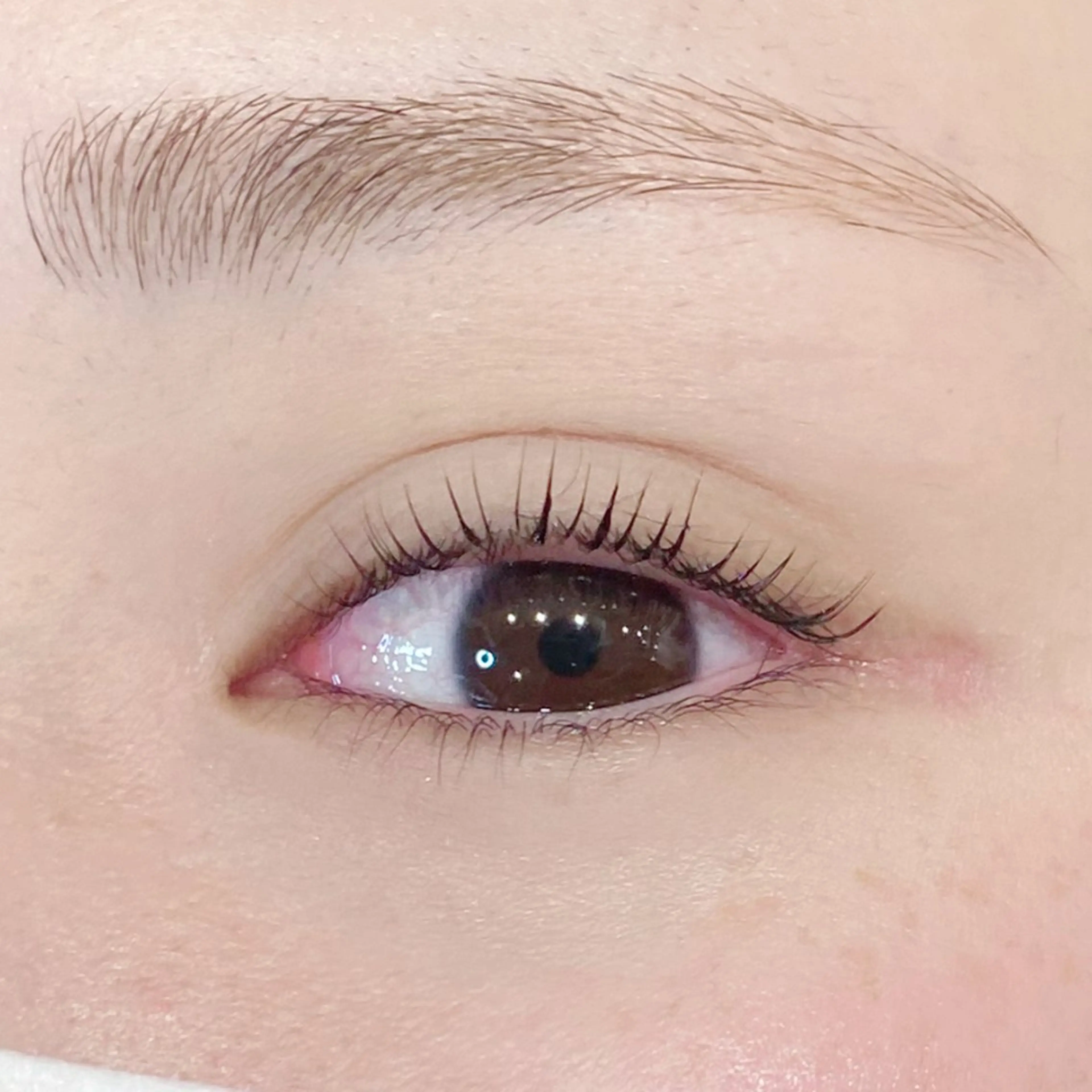 マツエク・マツパ gioia池袋店所属・gioia 根津のマツエク・マツパデザイン