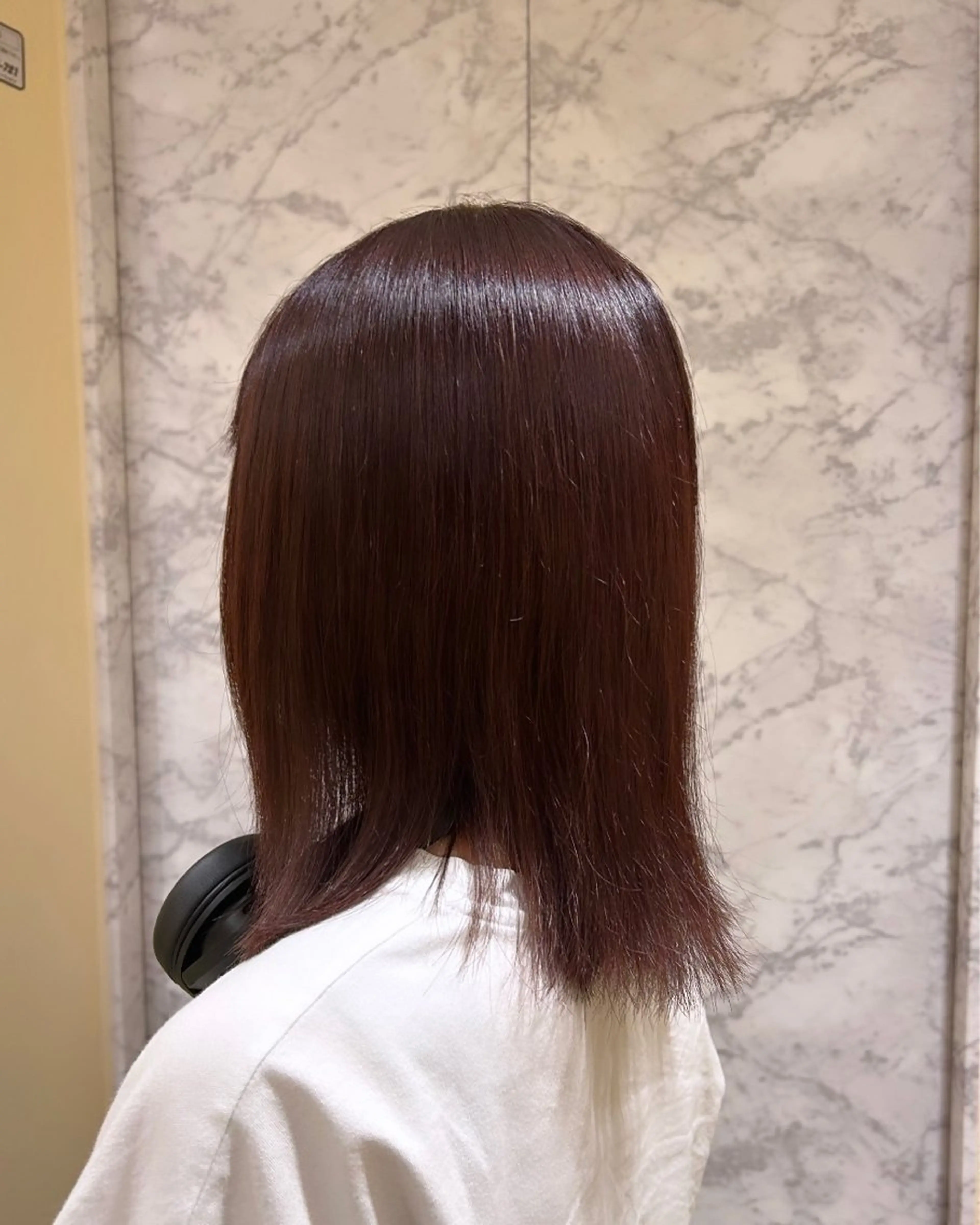 カラー ブラウンカラー パープルブラウン ヘアセット/ミニボブ /レイヤー 山田寛菜のヘアスタイル