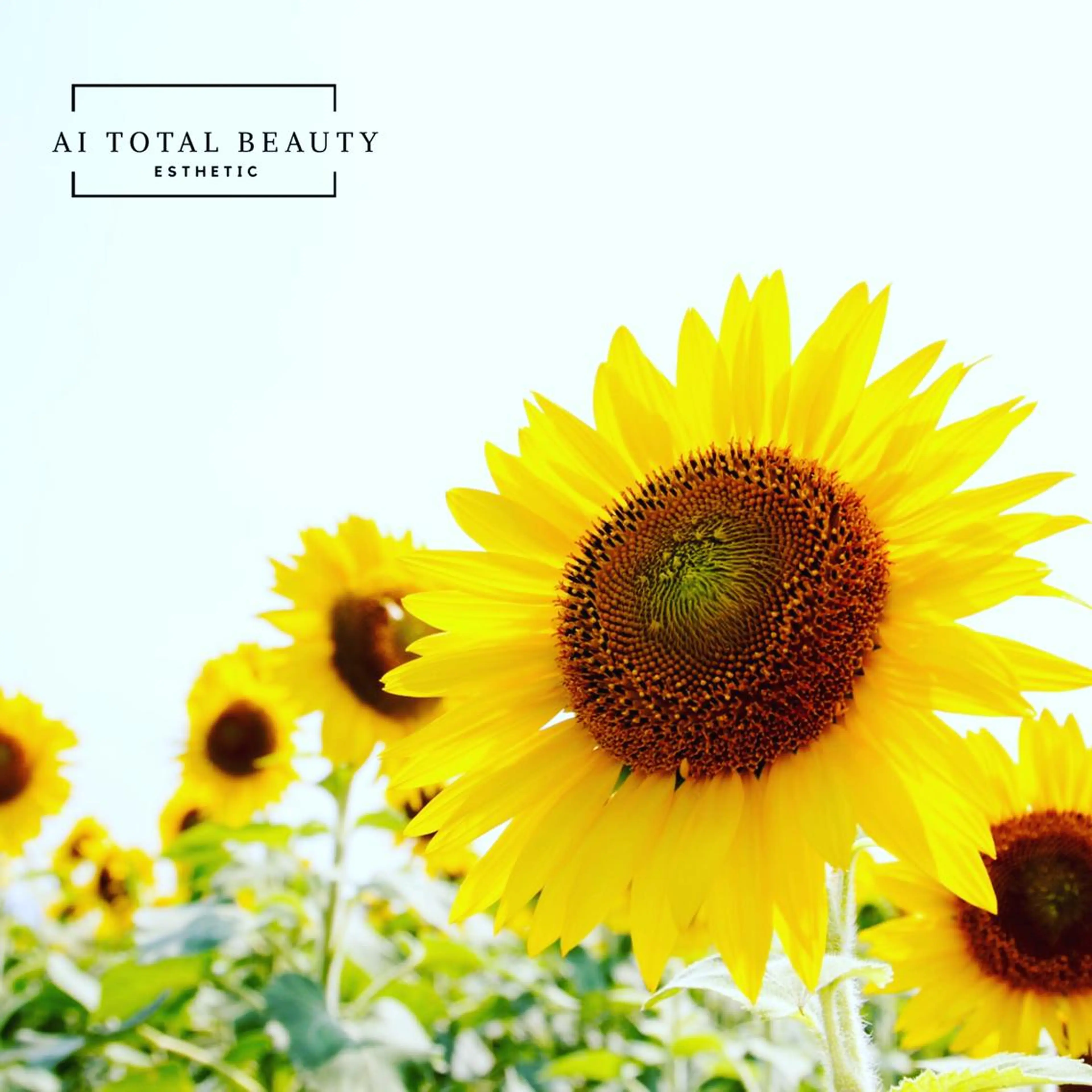 アイトータル ビューティーのエステ・リラクイメージ