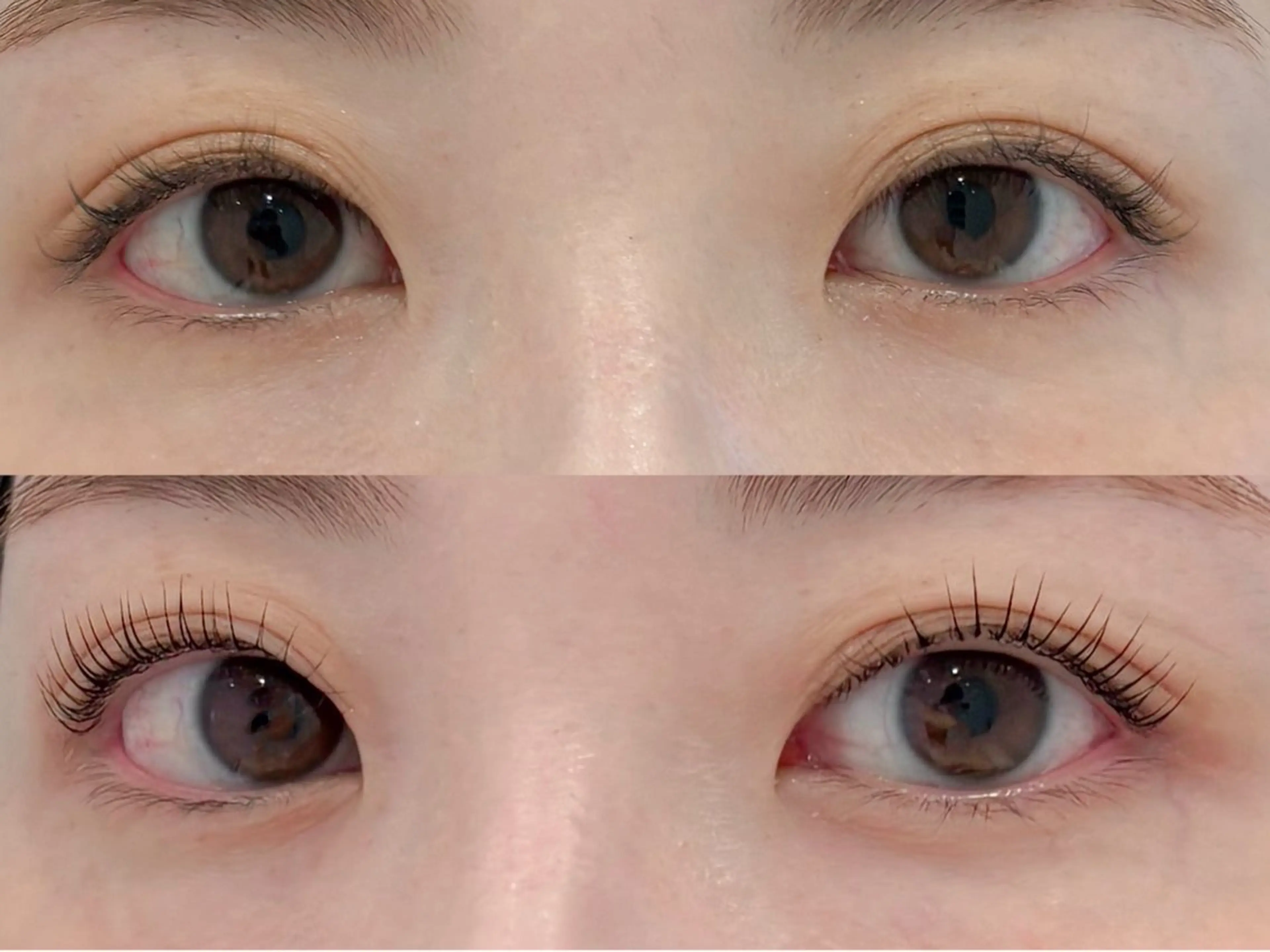 マツエク・マツパ マツパ 🌙Lily 船橋 鈴木のマツエク・マツパデザイン