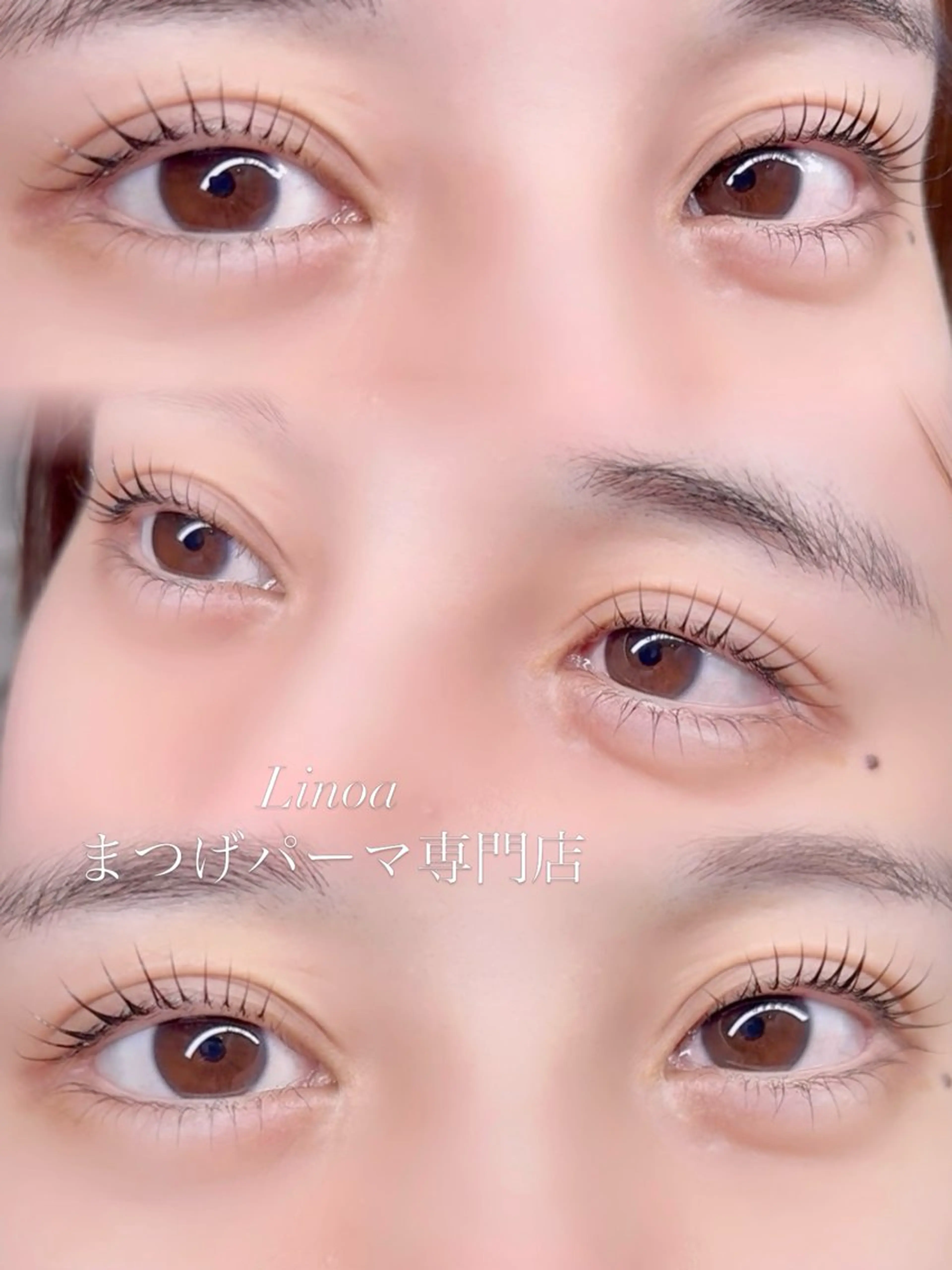 【当店初めての方】ミニモ特別価格👀上下まつげパーマ👀🤎の写真