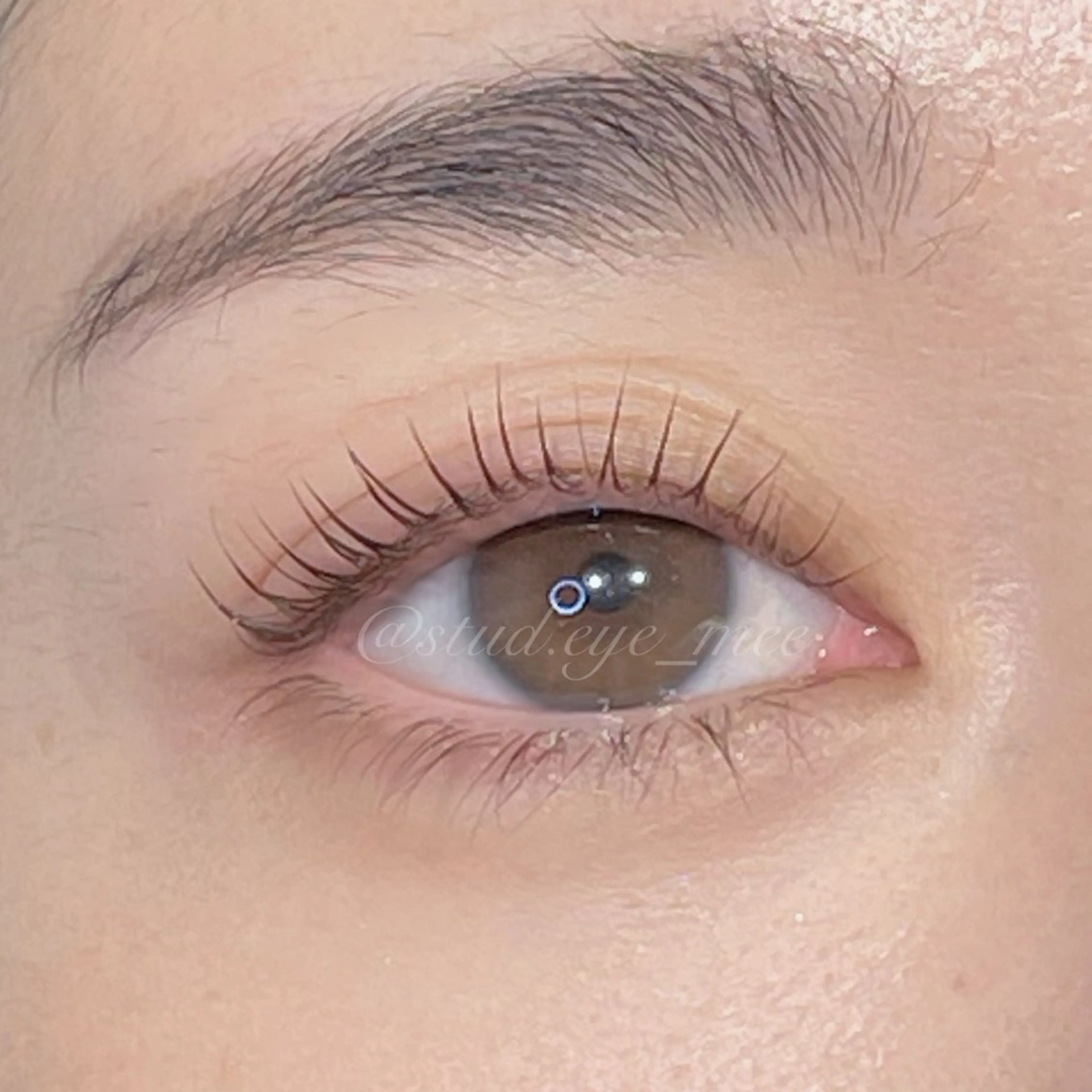 マツエク・マツパ LED指名No.１ MIORA MIKIのマツエク・マツパデザイン