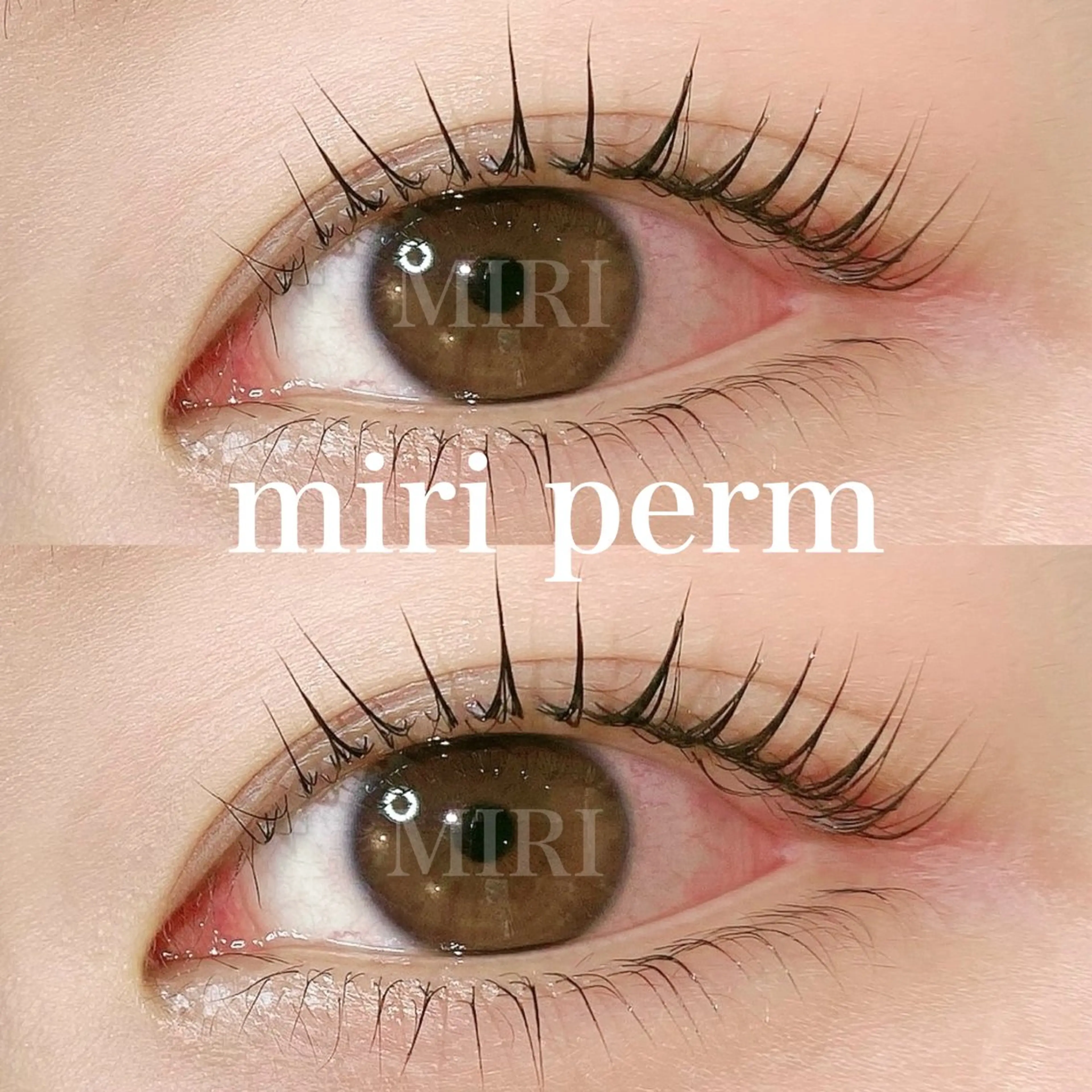 🌷ミニモ限定特別価格🌷上下まつ毛パーマの写真