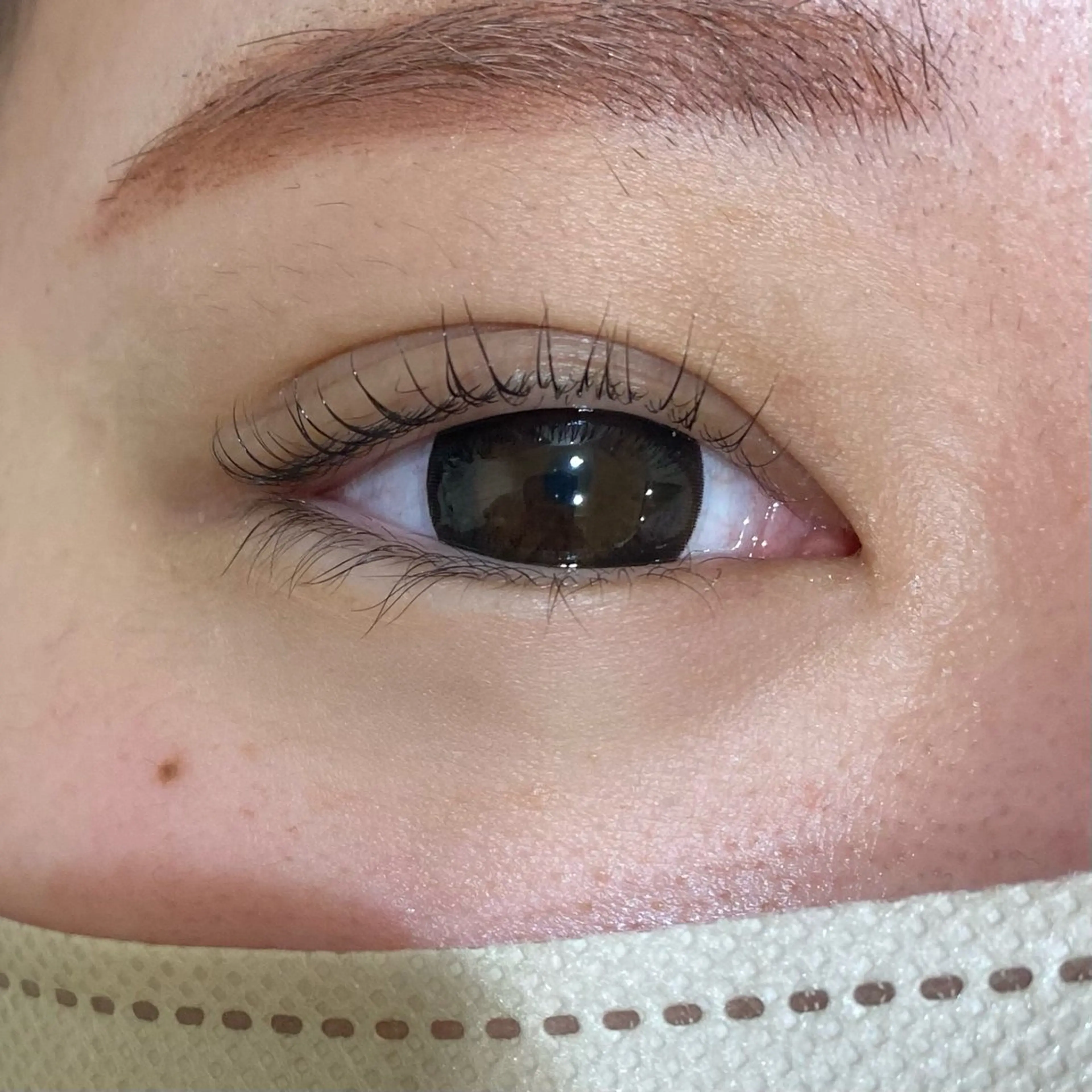 マツエク・マツパ Cカール 🐈ニナ🐈‍⬛/メ ンズカット/まつパのマツエク・マツパデザイン