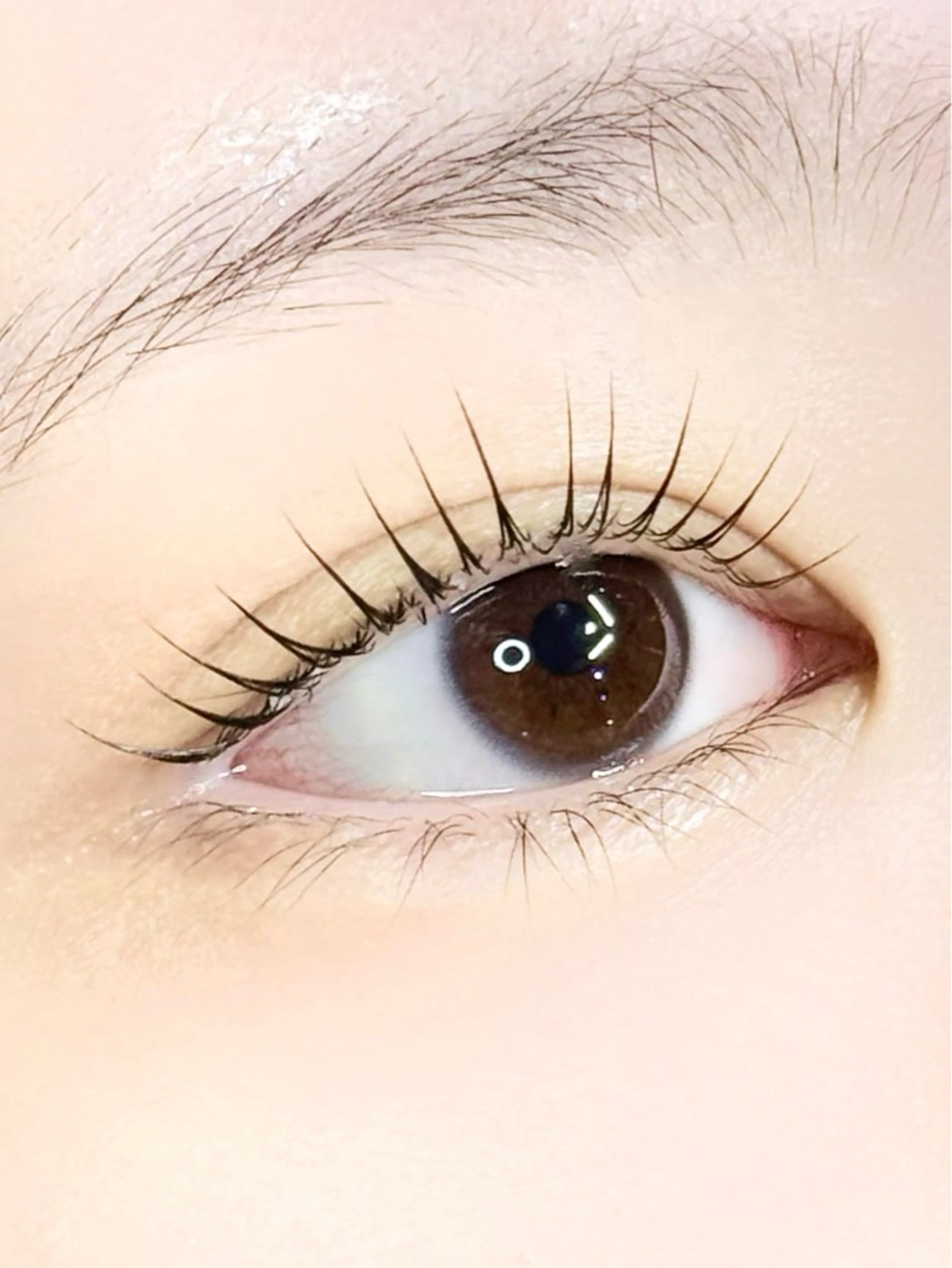 【💎インスタフォローしてくれる方限定💎】まつげパーマ+トリートメントの写真