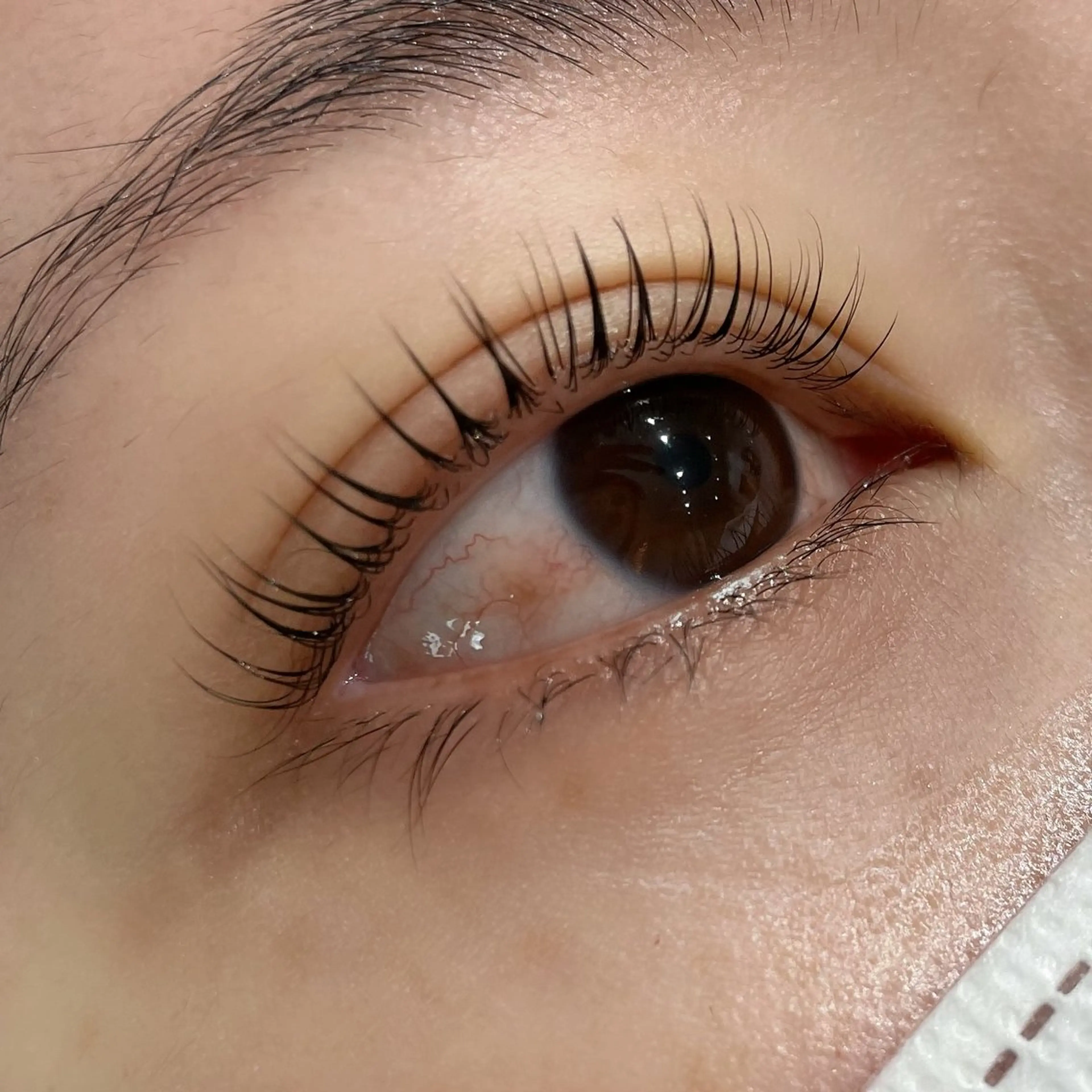 マツエク・マツパ マツパ Koti sakai mayuのマツエク・マツパデザイン