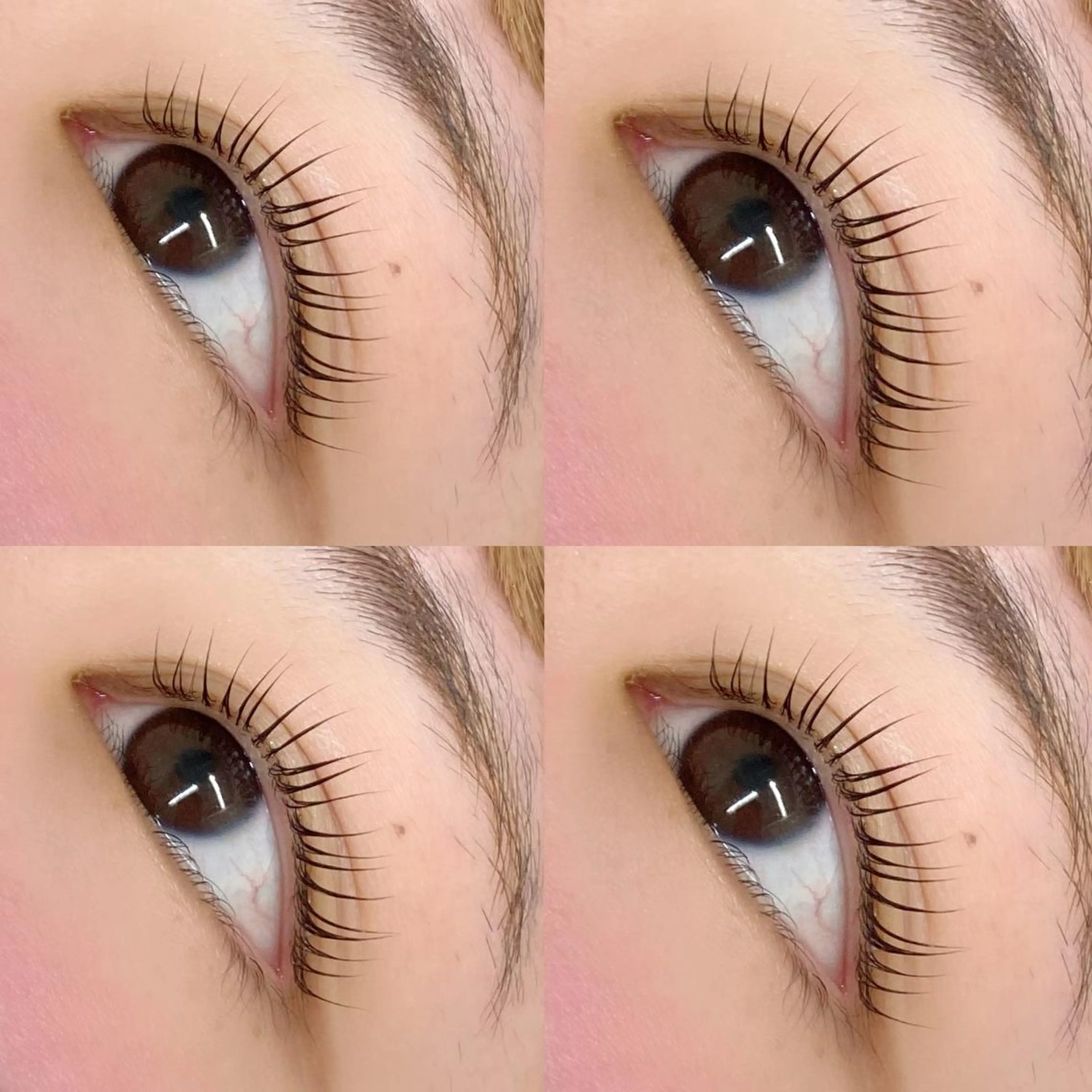 マツエク・マツパ BAMBI 🖤KAWAIのマツエク・マツパデザイン