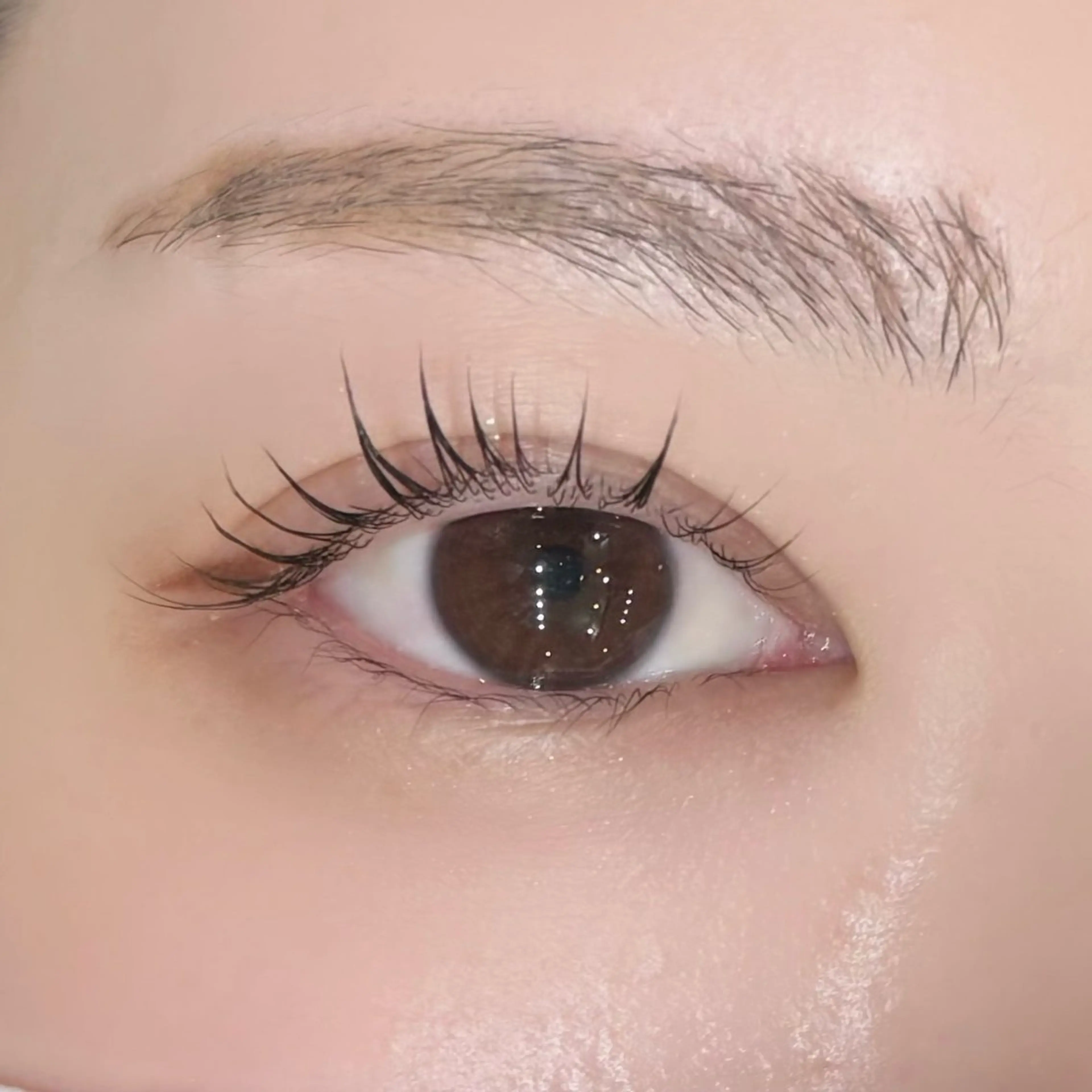 まつ毛パーマ【美容液コーティング付き】の写真