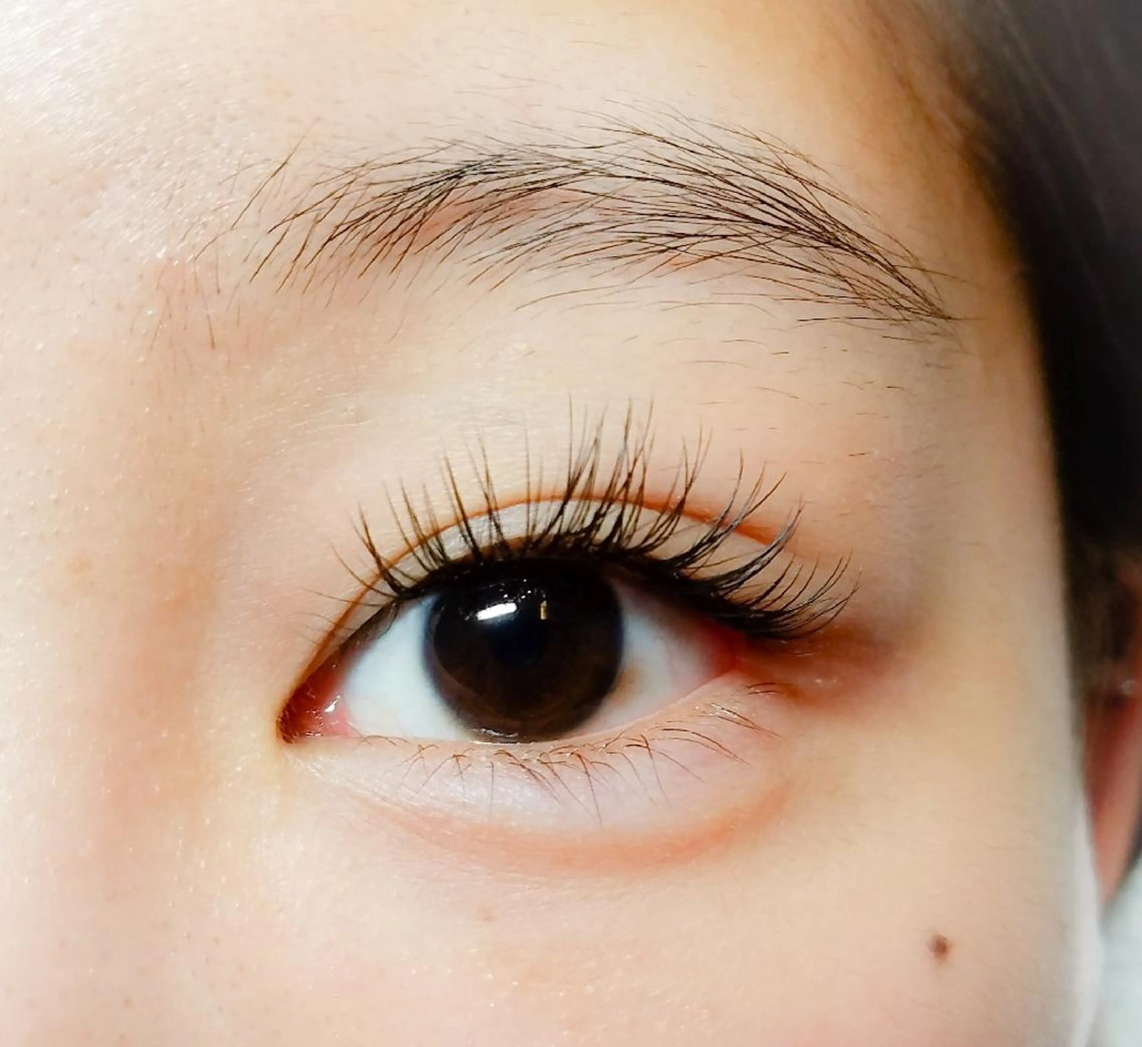 マツエク・マツパ Cカール アップワードラッシュ アイラッシュ コペル【Copel】所属・個室サロンcopel 　kishimotoのマツエク・マツパデザイン