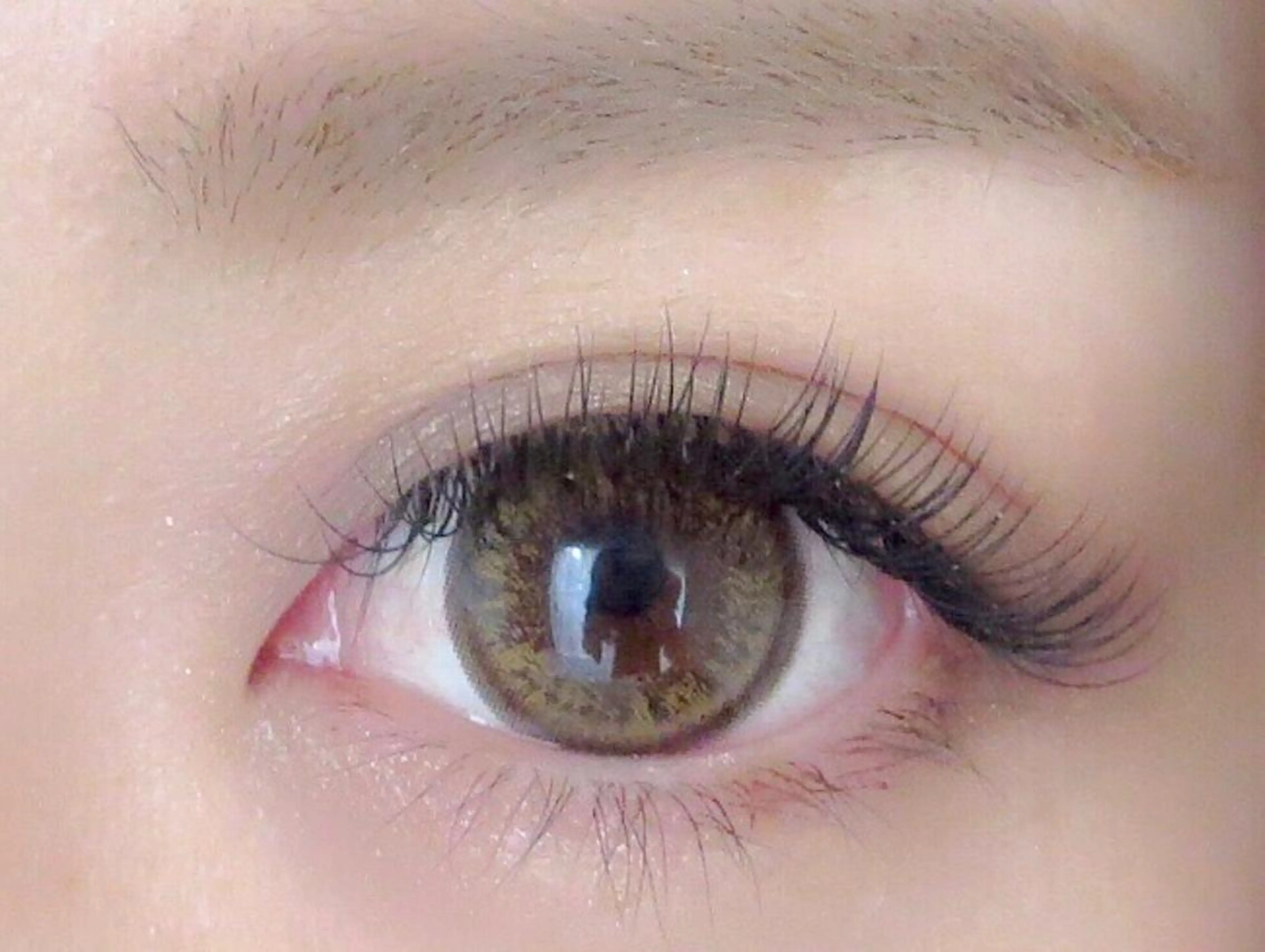 マツエク・マツパ Dカール セーブル マツエク ♡ eriのマツエク・マツパデザイン