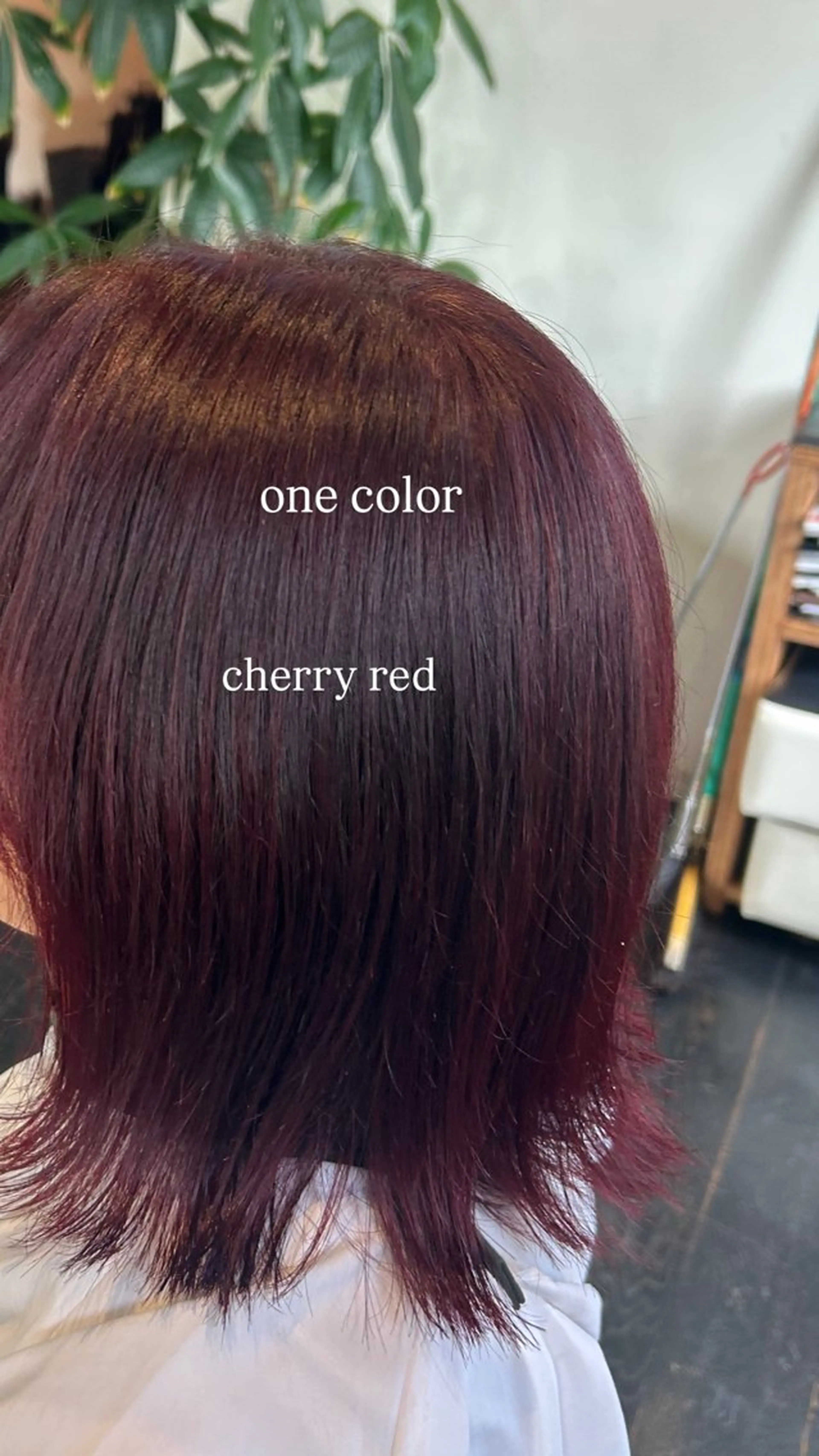 ワンカラーでしっかり色味がだせる暖色カラー🍓の写真