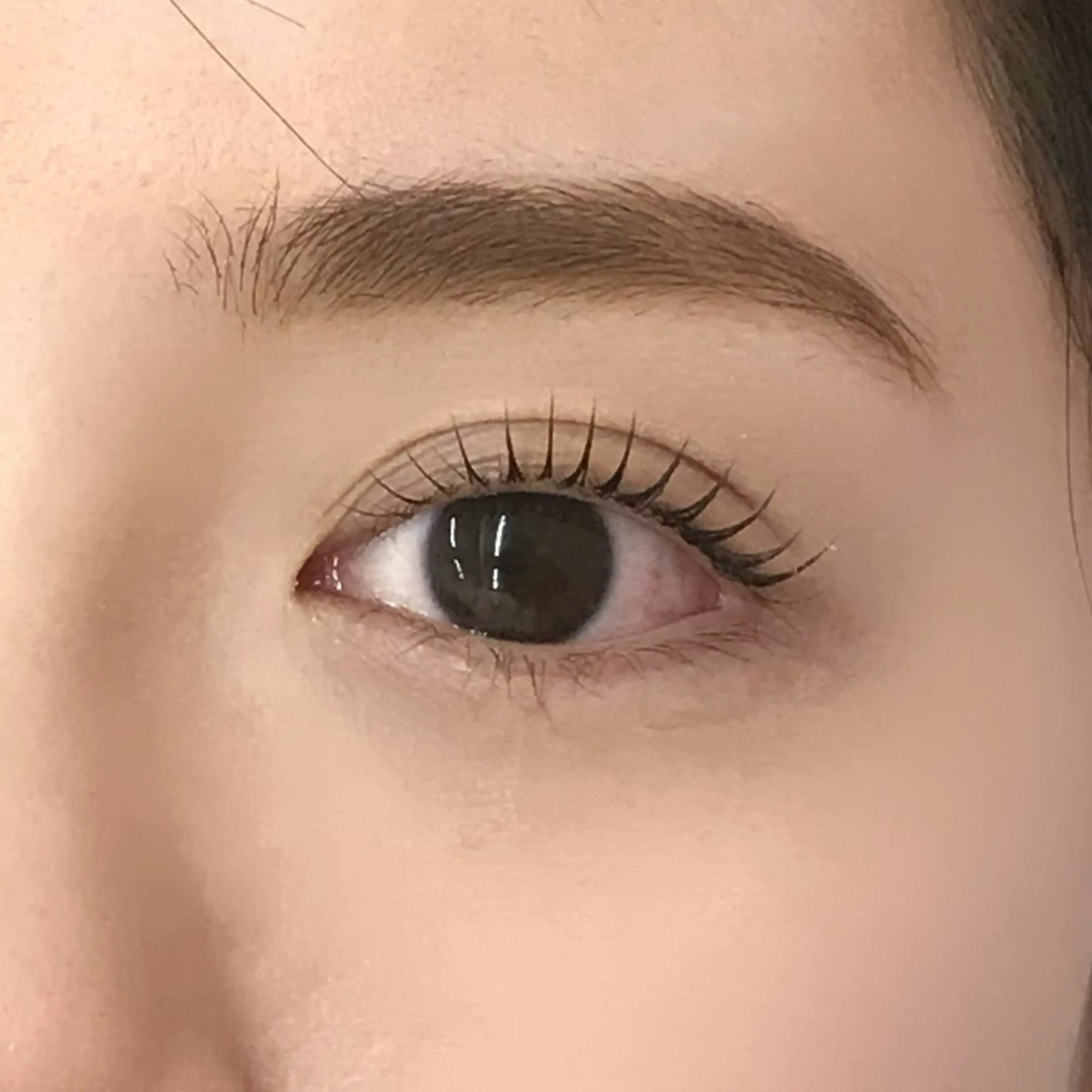 マツエク・マツパ uland yuzukiの眉毛・アイブロウイメージ