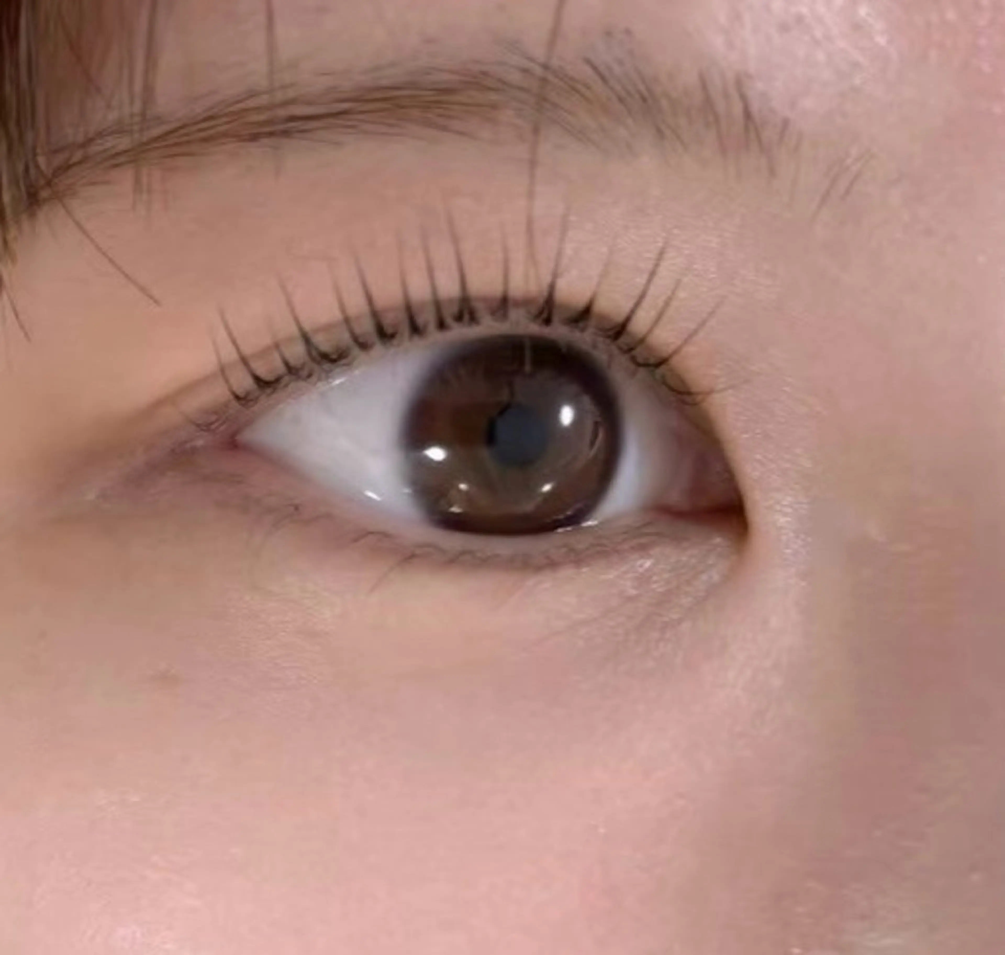 マツエク・マツパ パリジェンヌラッシュリフト マリーテレジア博多 🐰UMENOのマツエク・マツパデザイン