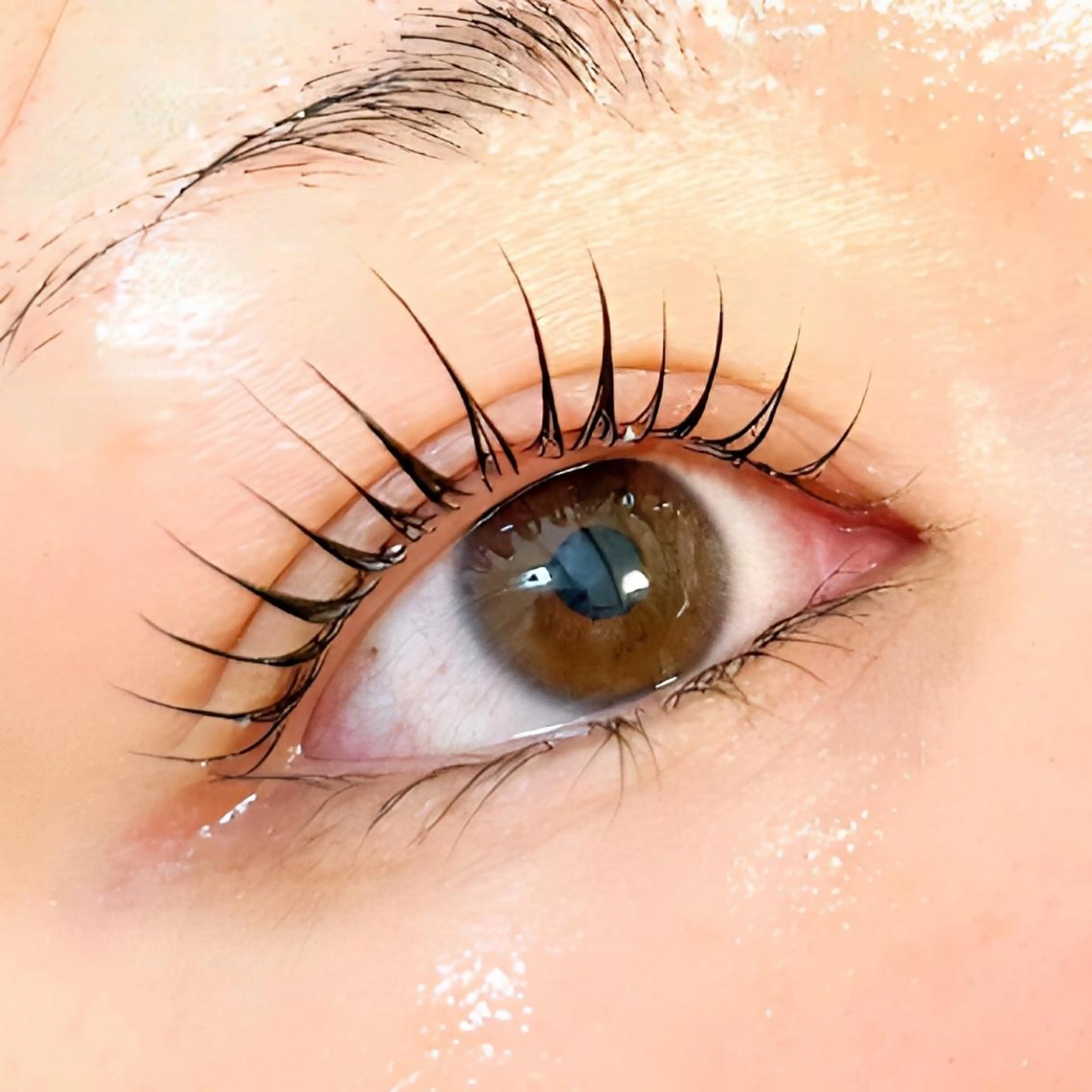 ケラチンラッシュリフトの写真