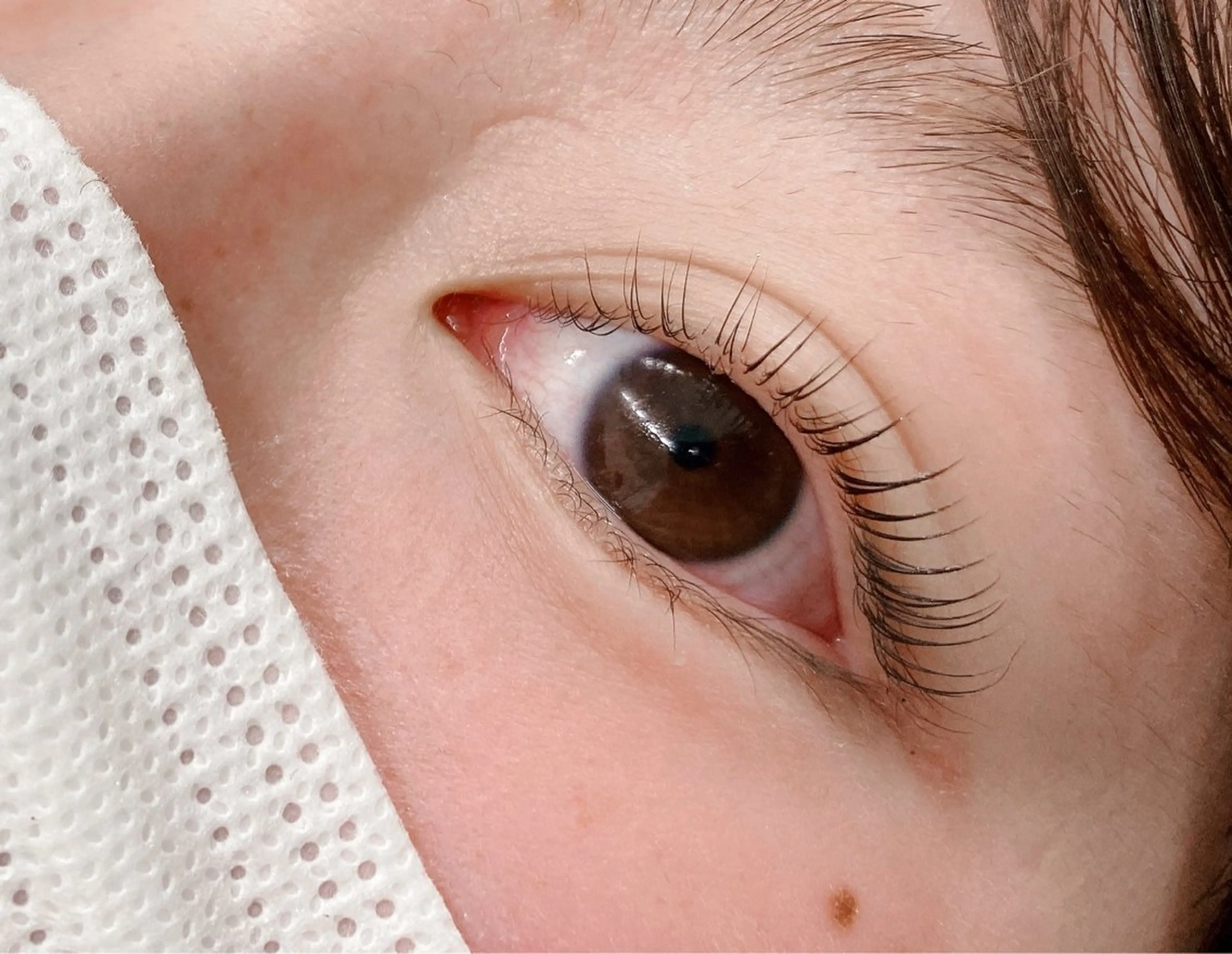 マツエク・マツパ マツパ まつ毛パーマ専門& men's眉AYAの眉毛・アイブロウイメージ