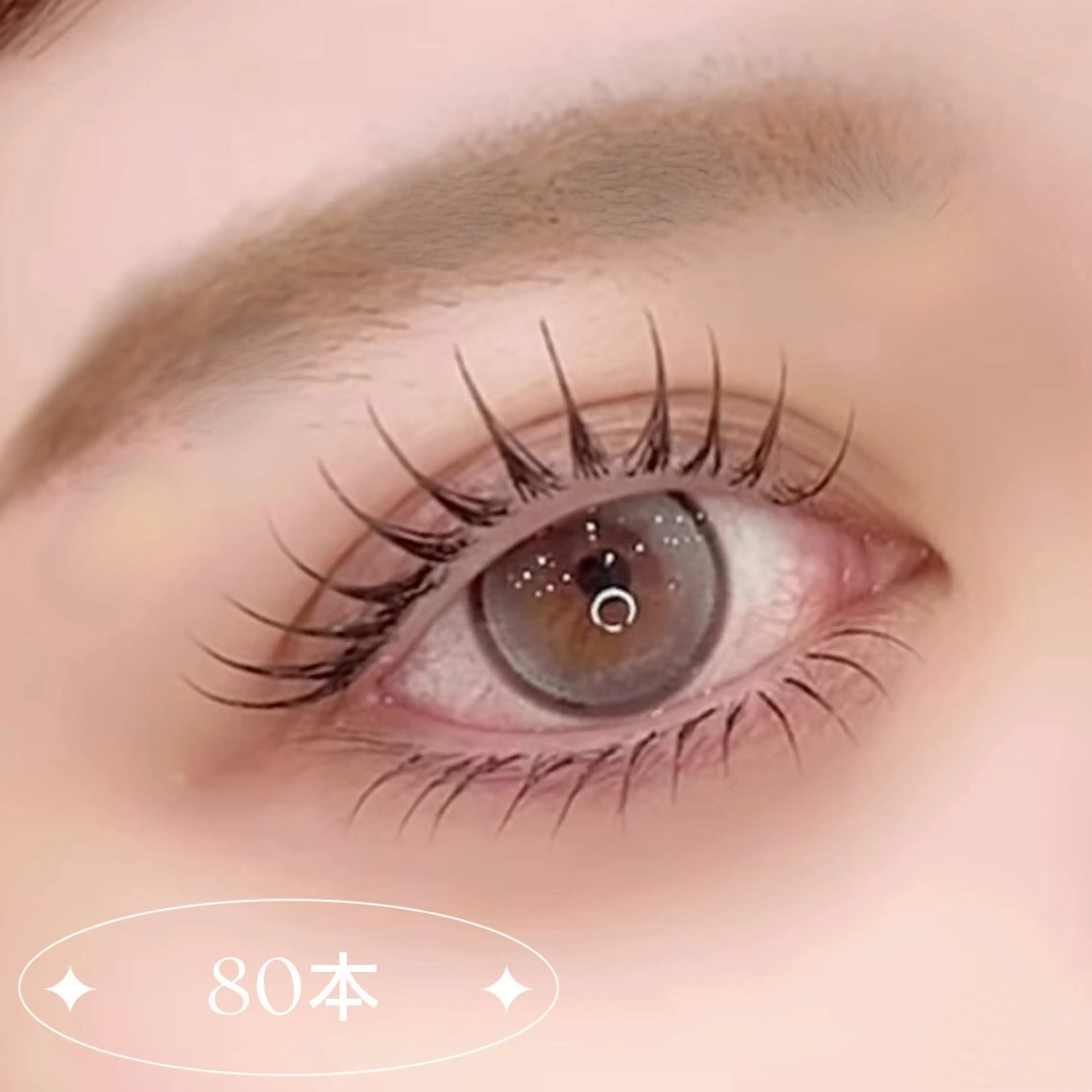 フラットラッシュ｜80本の写真