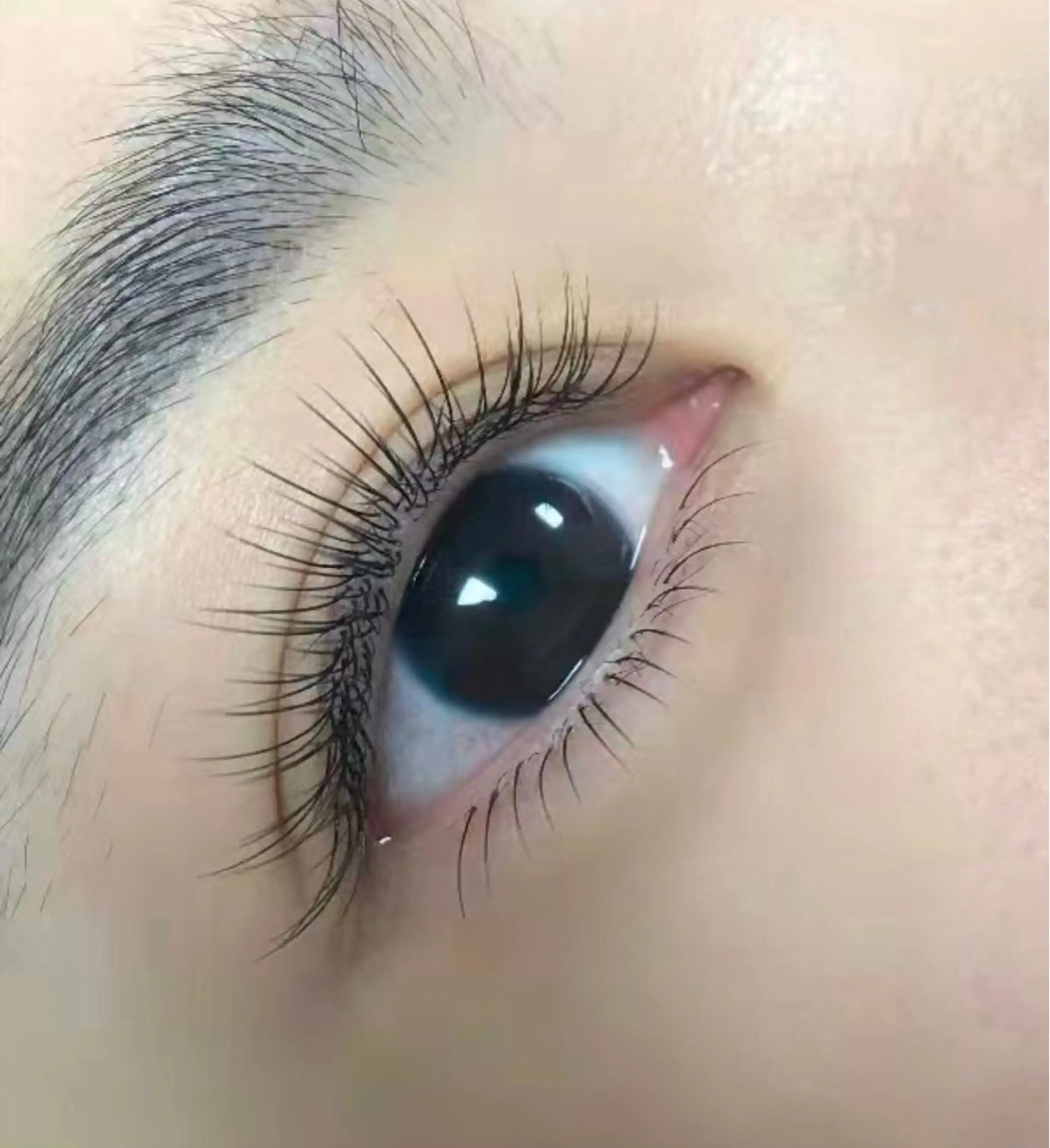 フラットマットラッシュ120本+下まつげ30本の写真