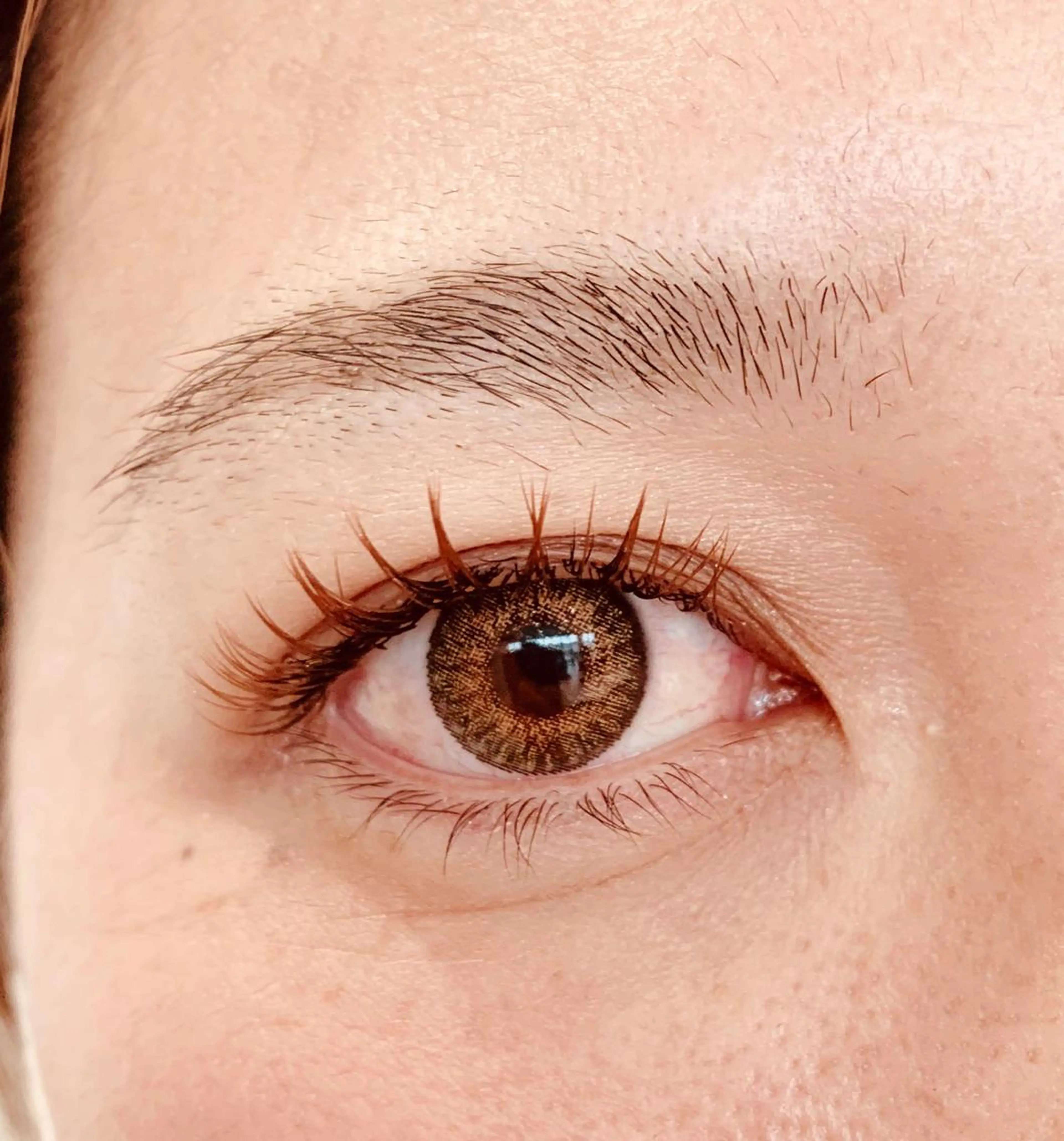 マツエク・マツパ Daisy hair eyelashのマツエク・マツパデザイン