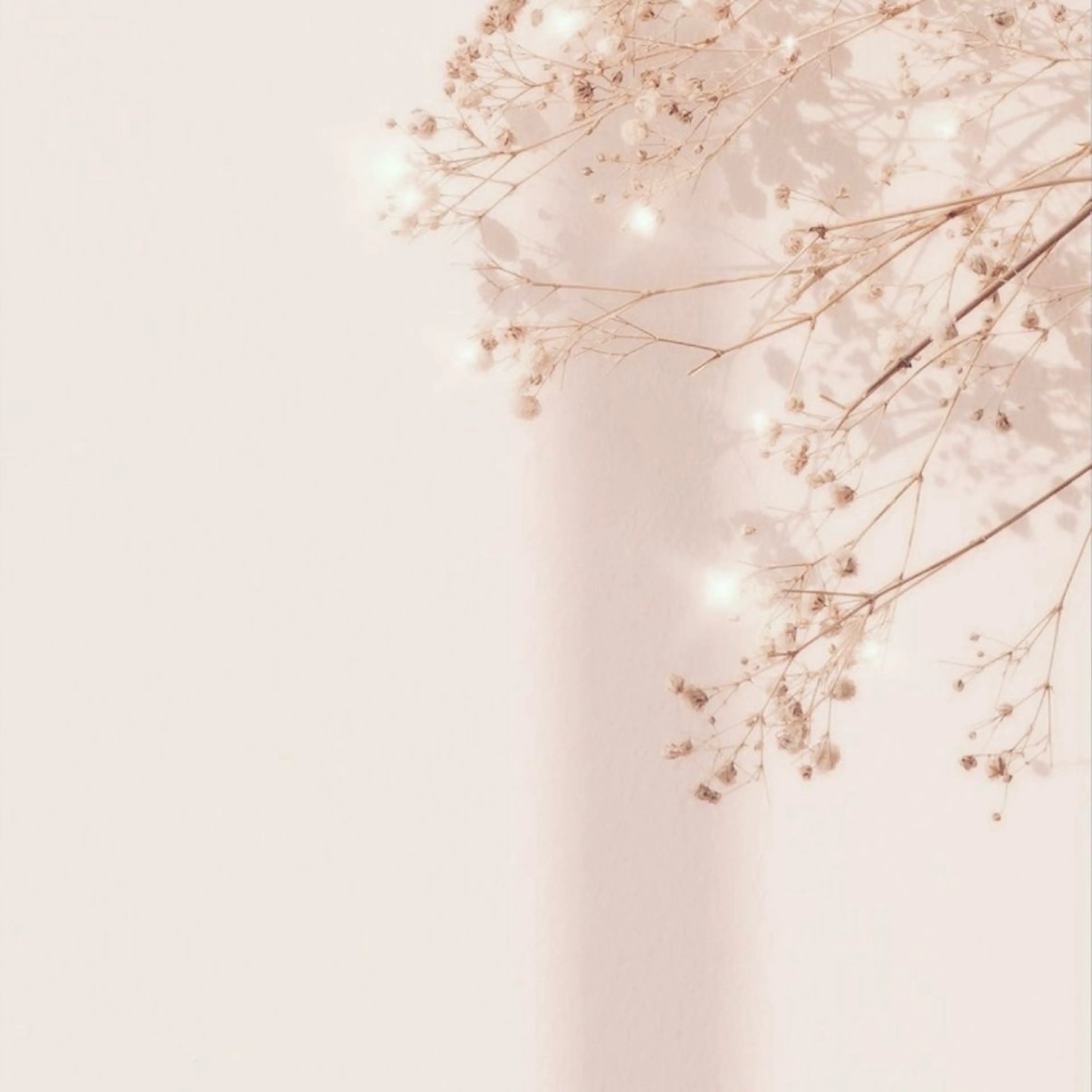 ゆ きのネイルデザイン