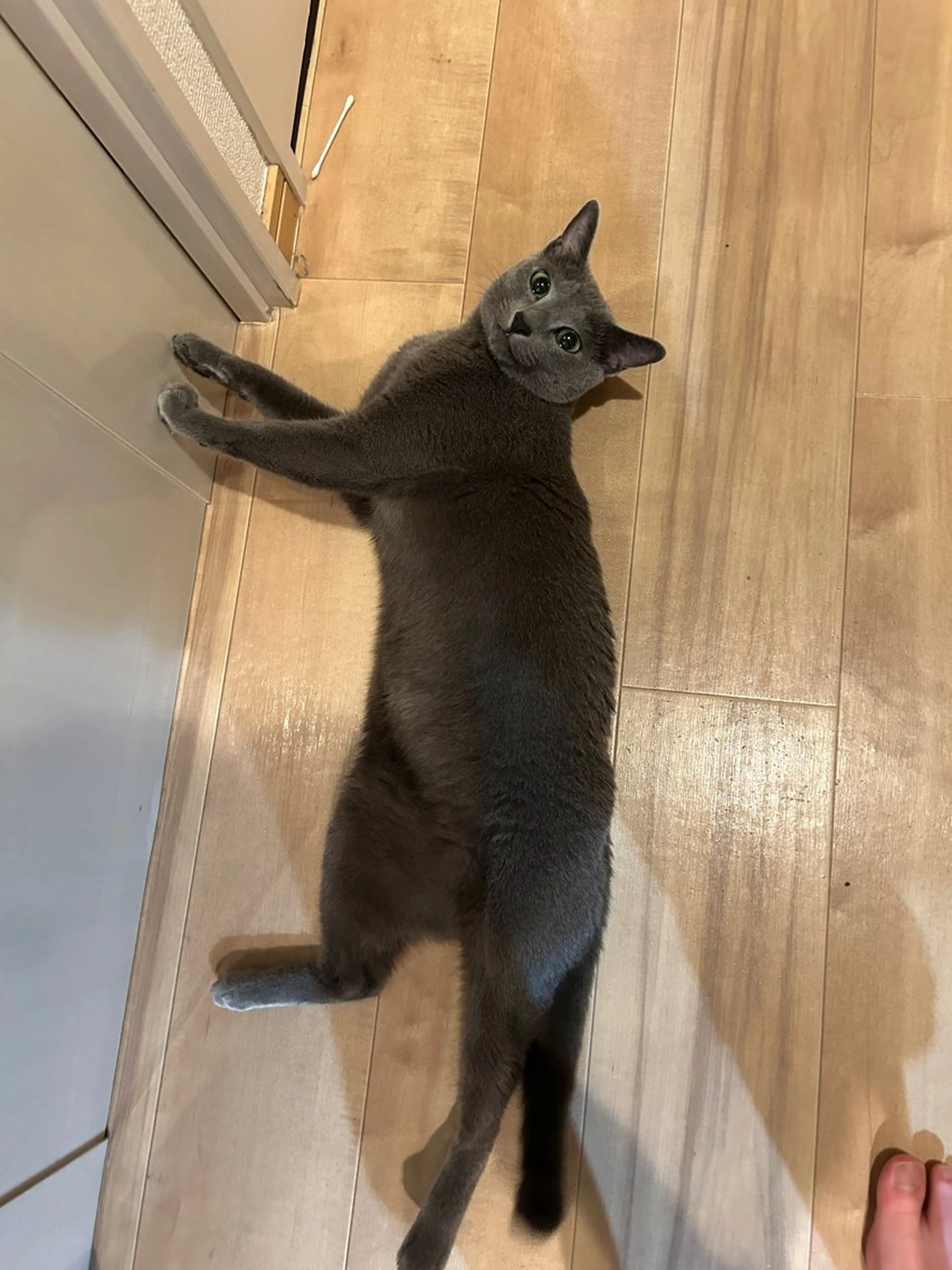 ショート アニメ,Vオタク× 即効痩せエステサロンのエステ・リラクイメージ