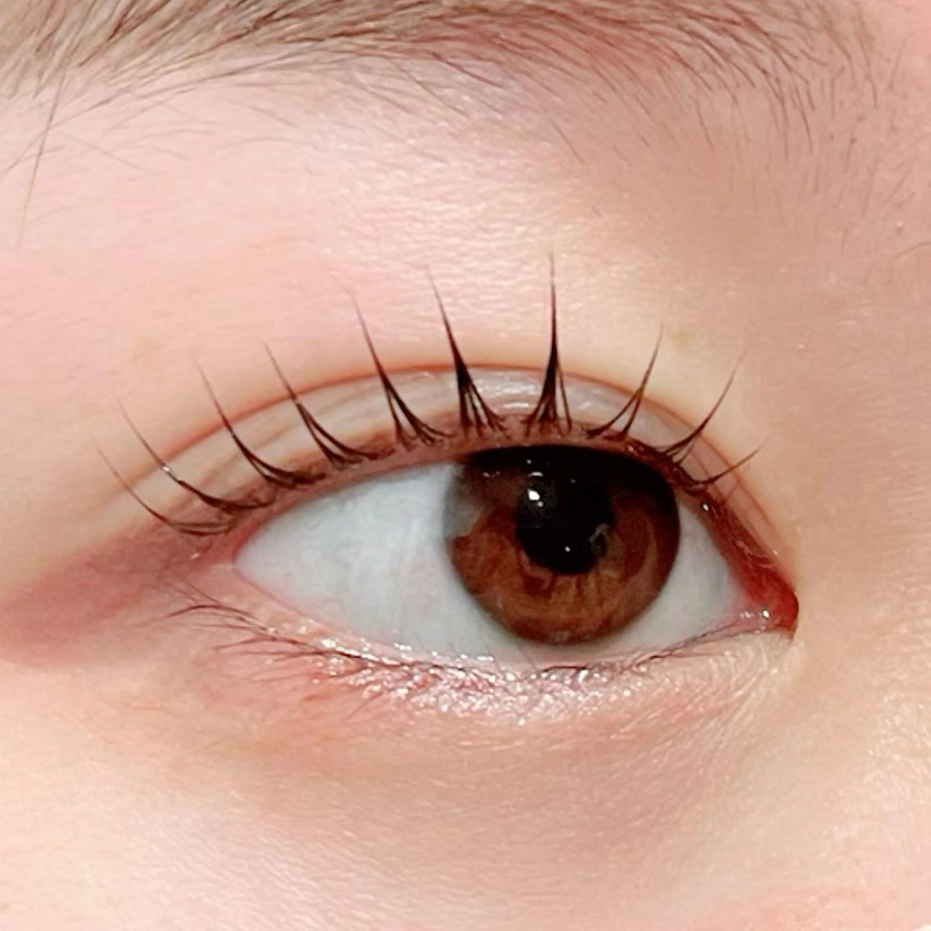 【次世代まつげパーマ】パリジェンヌラッシュリフト4800円🌼 コーティング付きの写真