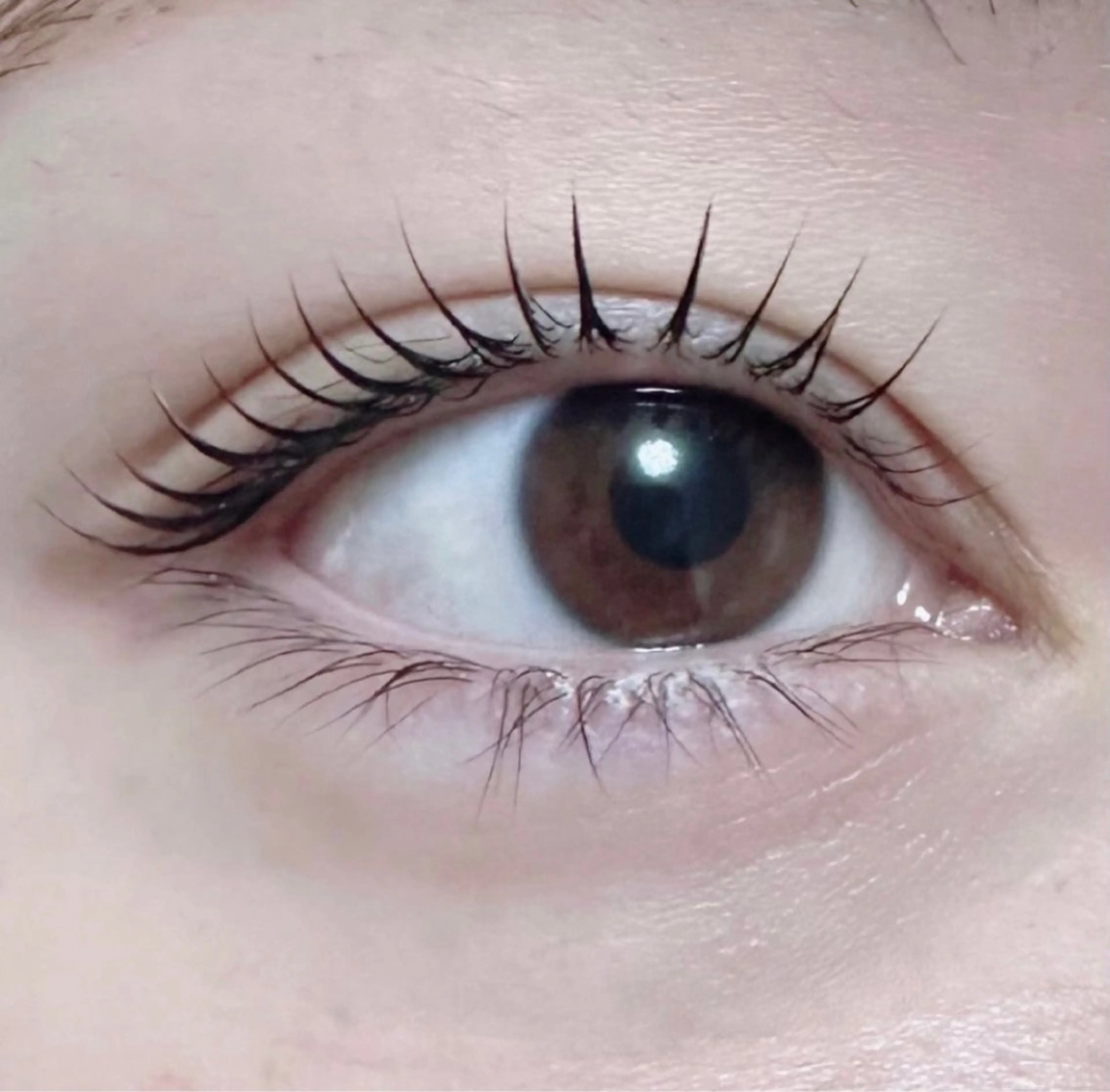 【目元ケア重視◎】まつ毛パーマ＋アイシャンプー＋コーティング 仕上げ¥5,500の写真