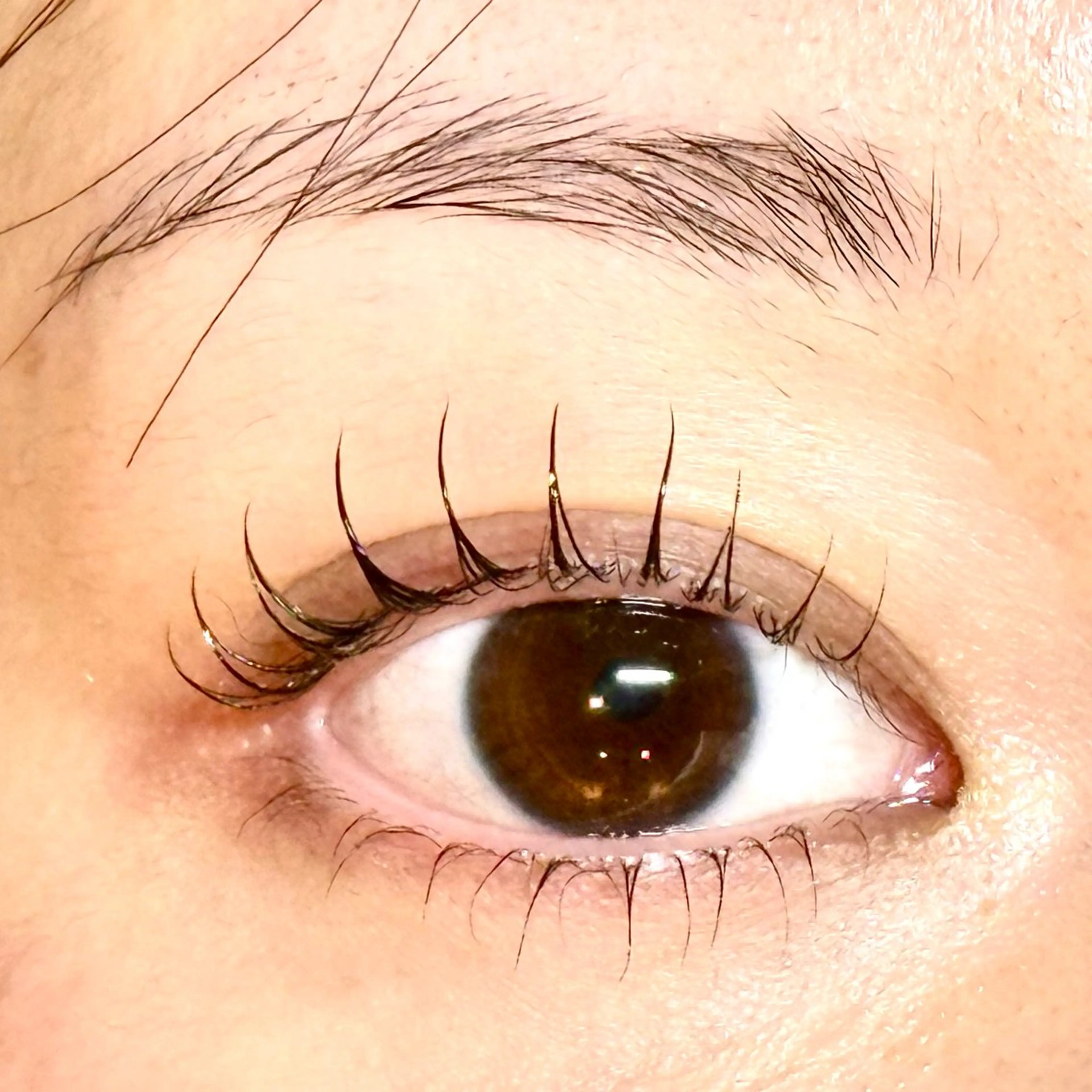 マツエク・マツパ Amelie あみのマツエク・マツパデザイン