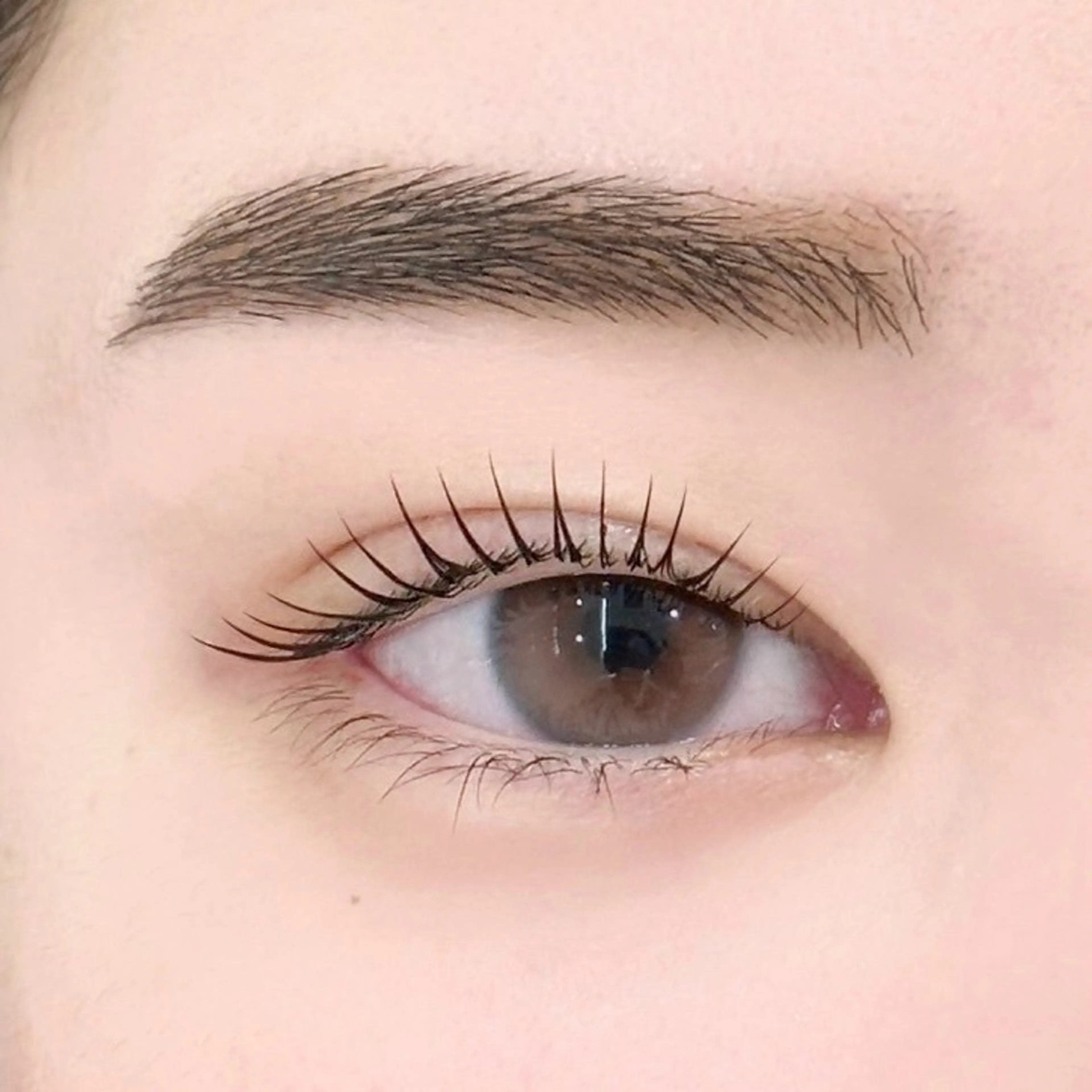 《ミニモ限定♡》パリジェンヌ/まつげパーマ🎀【アイシャンプー🛁】束感トリートメントの写真