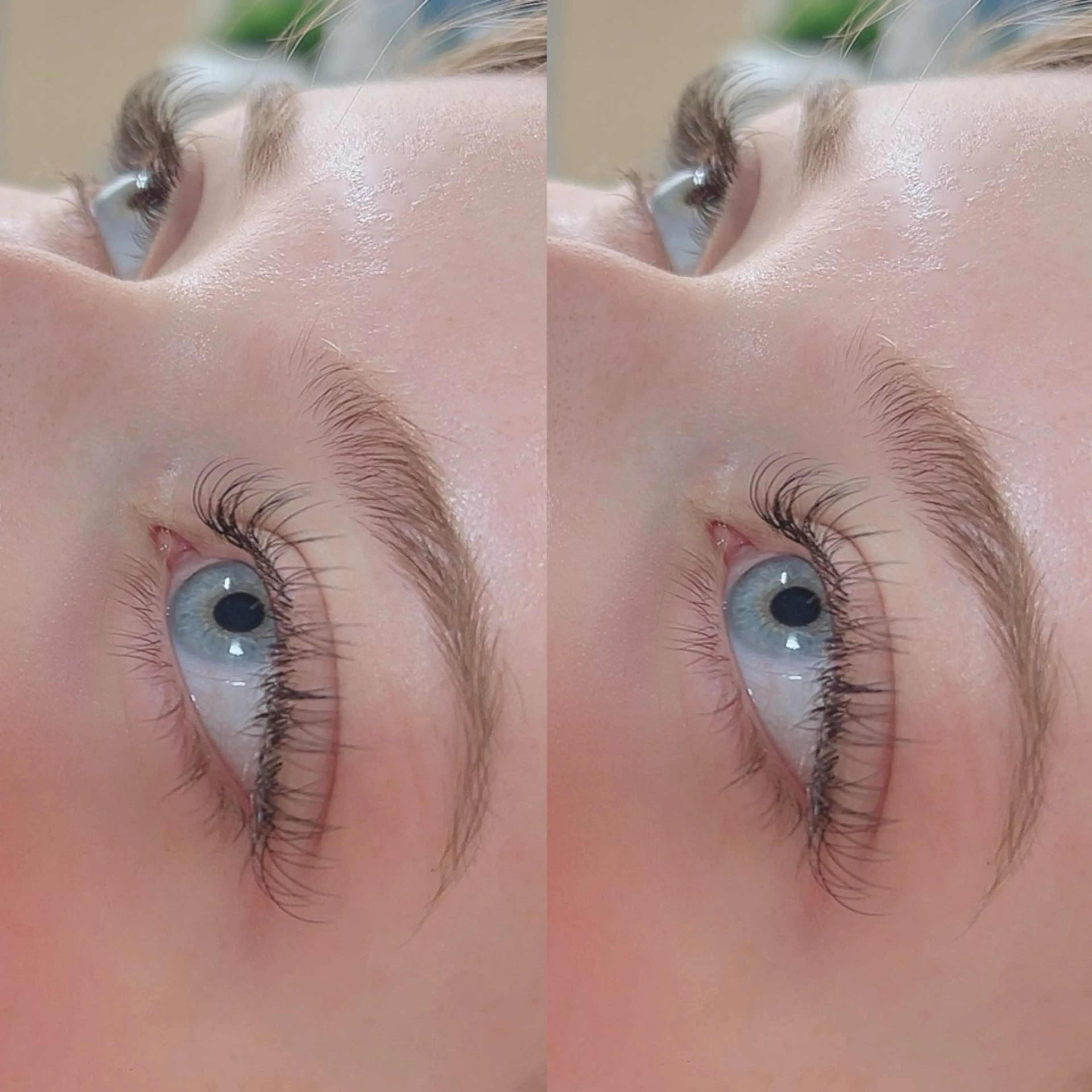 マツエク・マツパ フラットラッシュ マツエク Honey Salonのマツエク・マツパデザイン