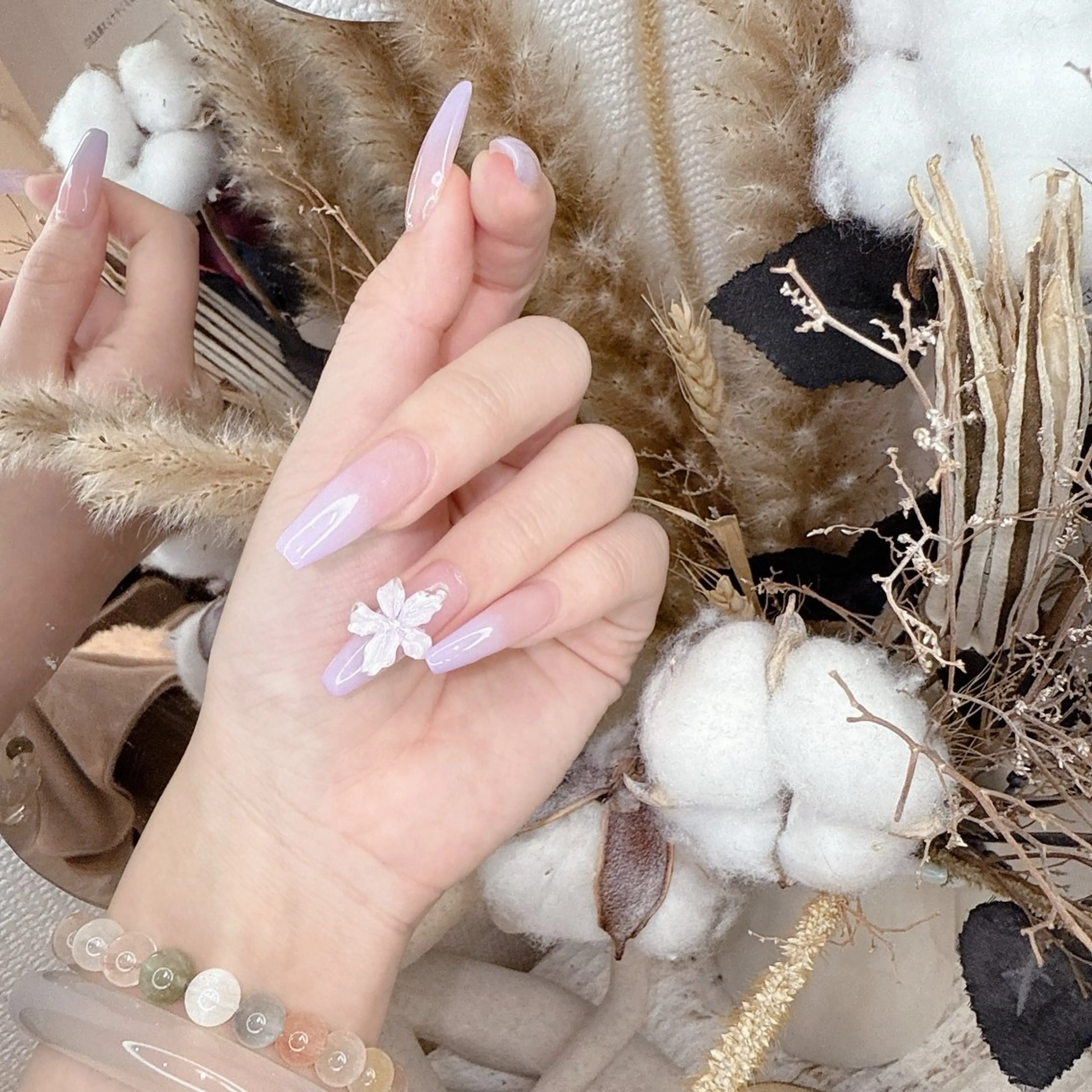 定額コースの写真