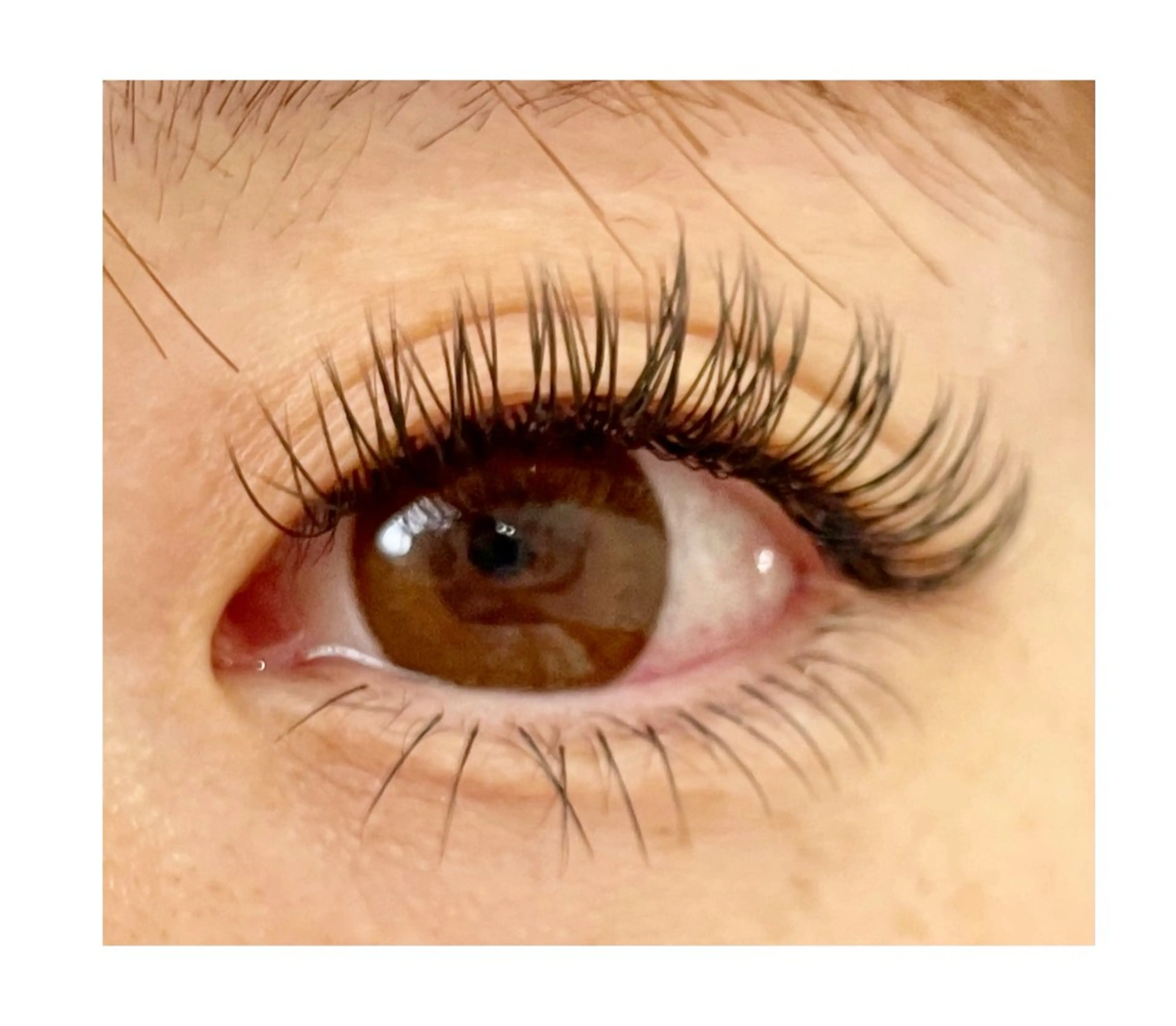 オフ込み、上まつ毛時間内フラットラッシュつけ放題⭐︎120分コース（退店までのお時間です。）150​〜​200本向けの写真