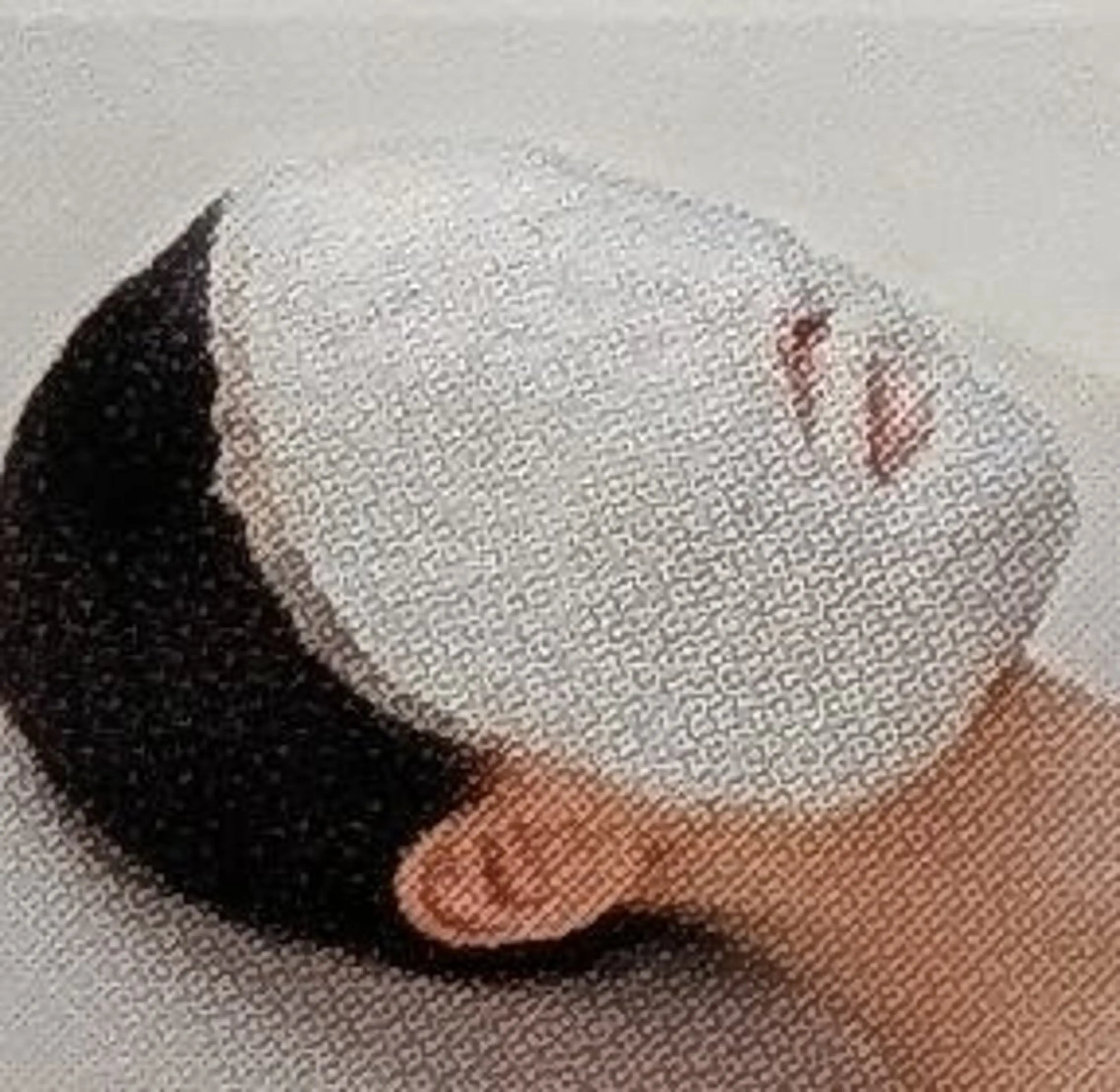 フェイシャルクリアケアの写真