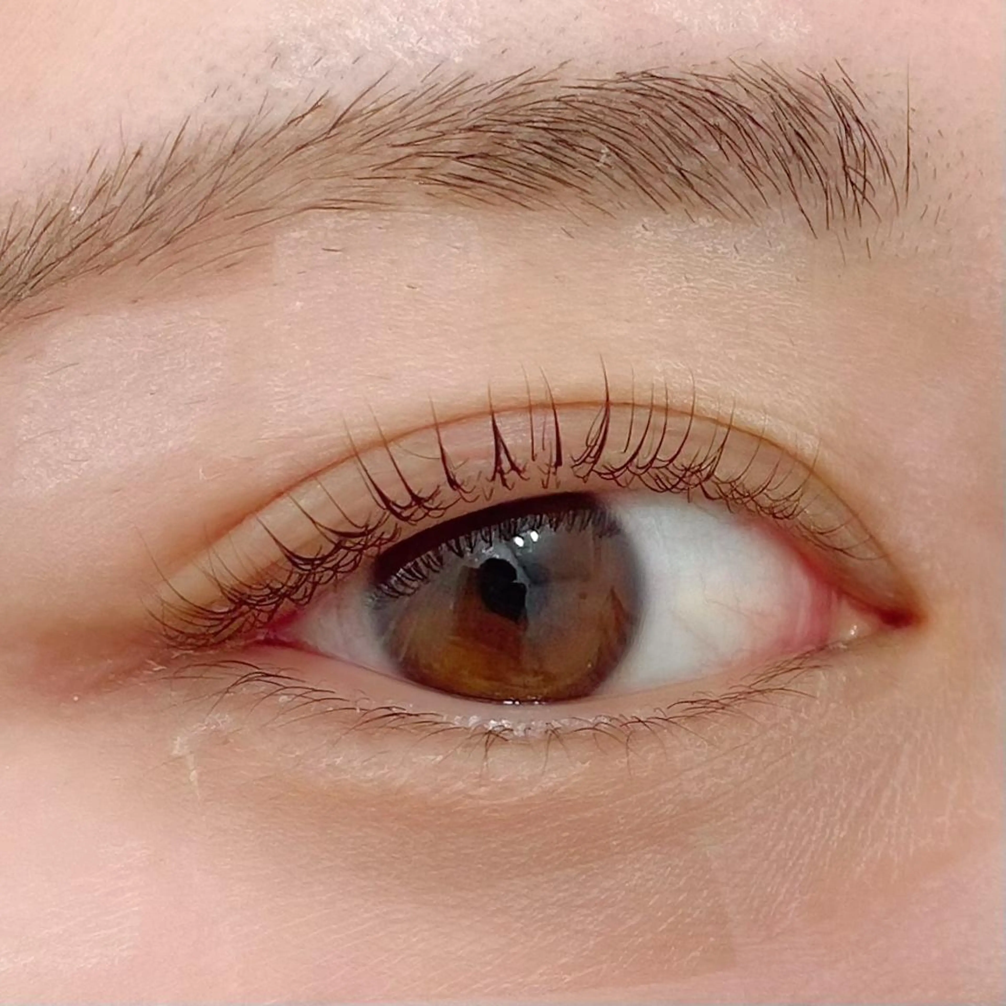 マツエク・マツパ Rabbit MURAlのマツエク・マツパデザイン