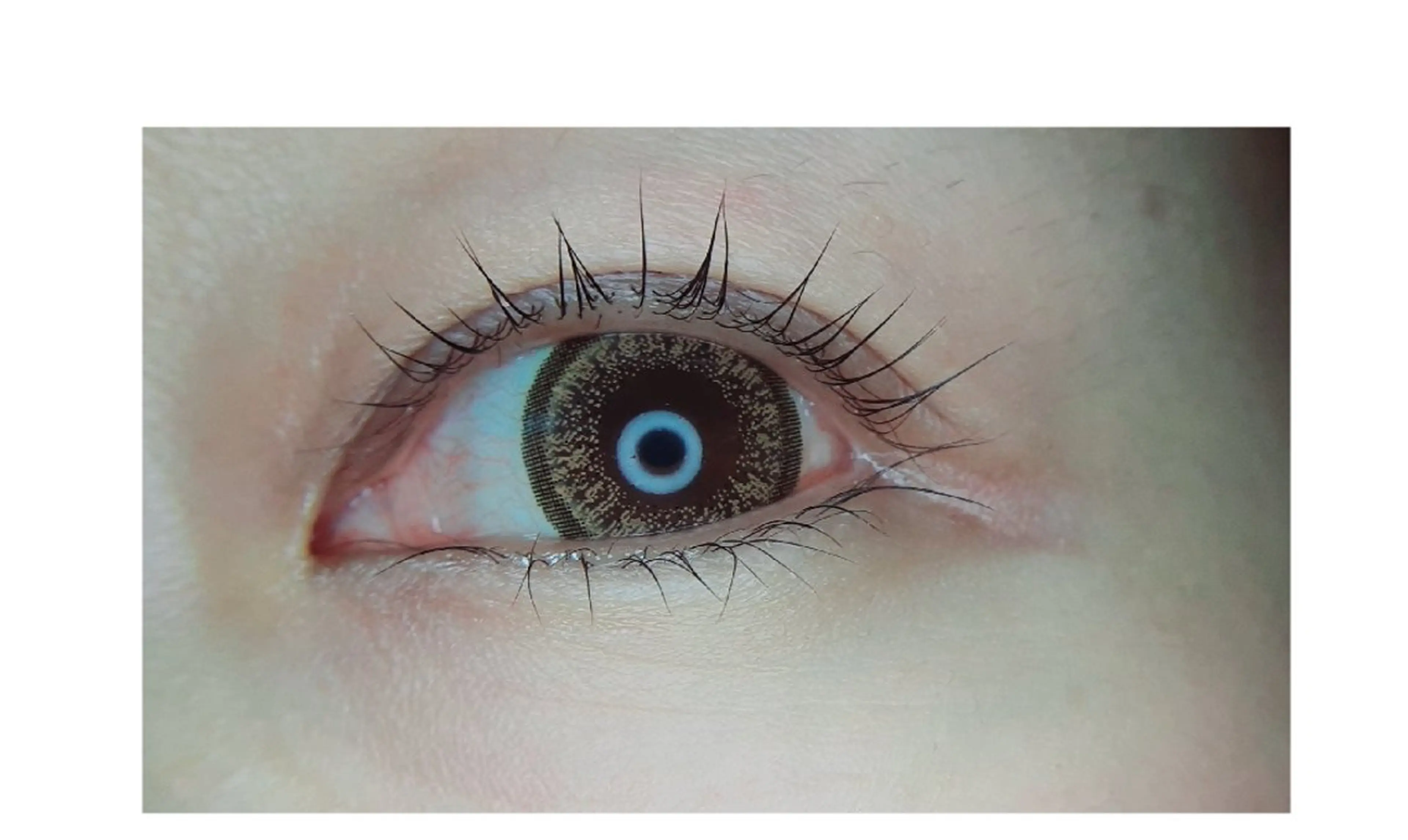 マツエク・マツパ v i v i ❁サロンリアン❁のマツエク・マツパデザイン