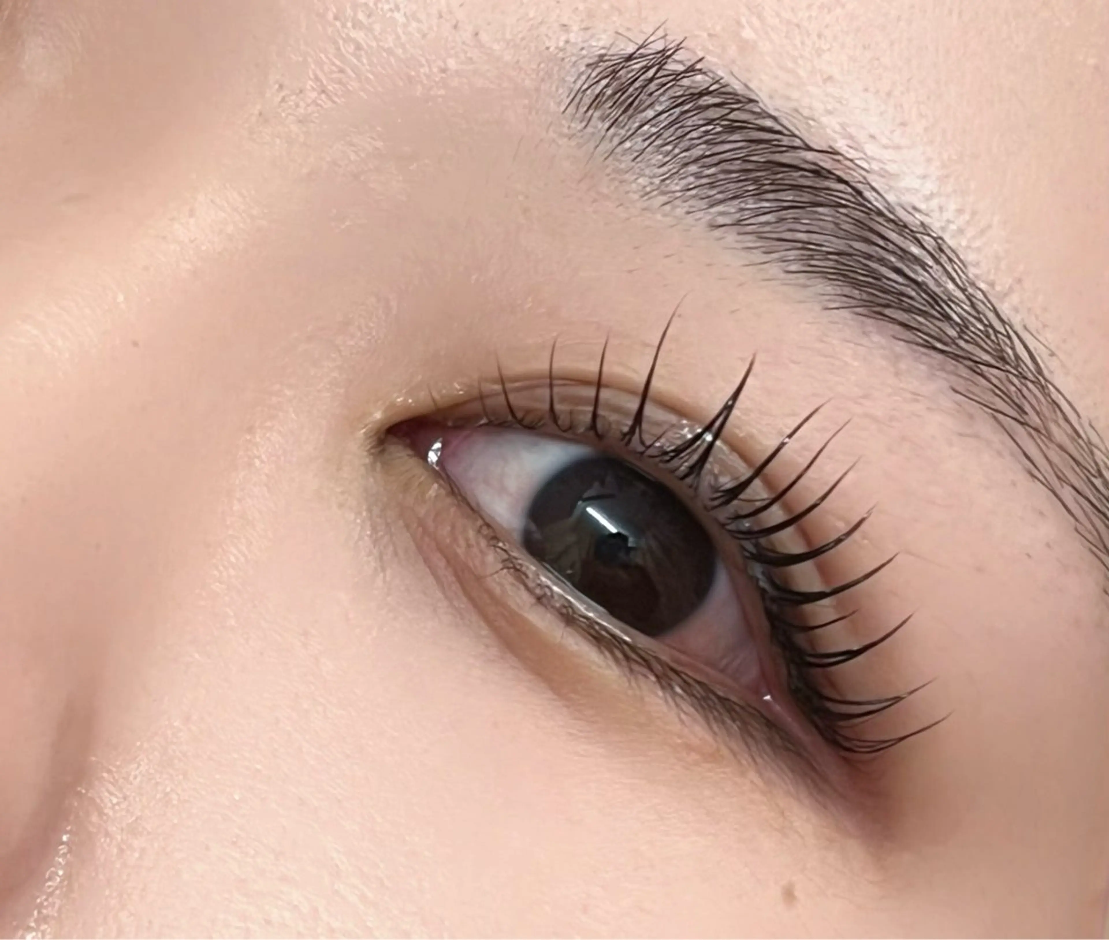 アイブロウワックス‎🏰💫の写真