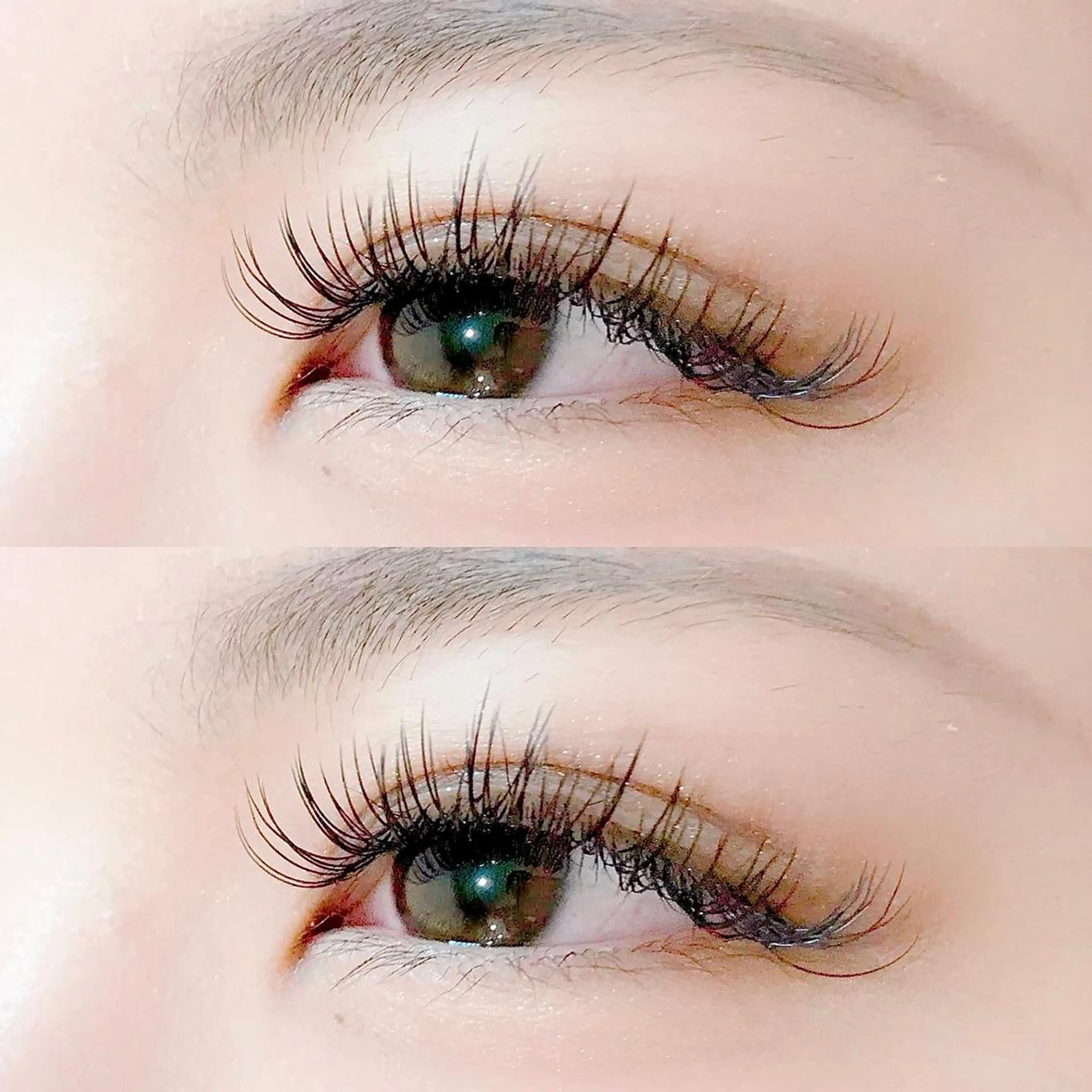 脅威のモチの良さ☆新技術バインドロック40束フラットラッシュ40本！オフ込み♪の写真