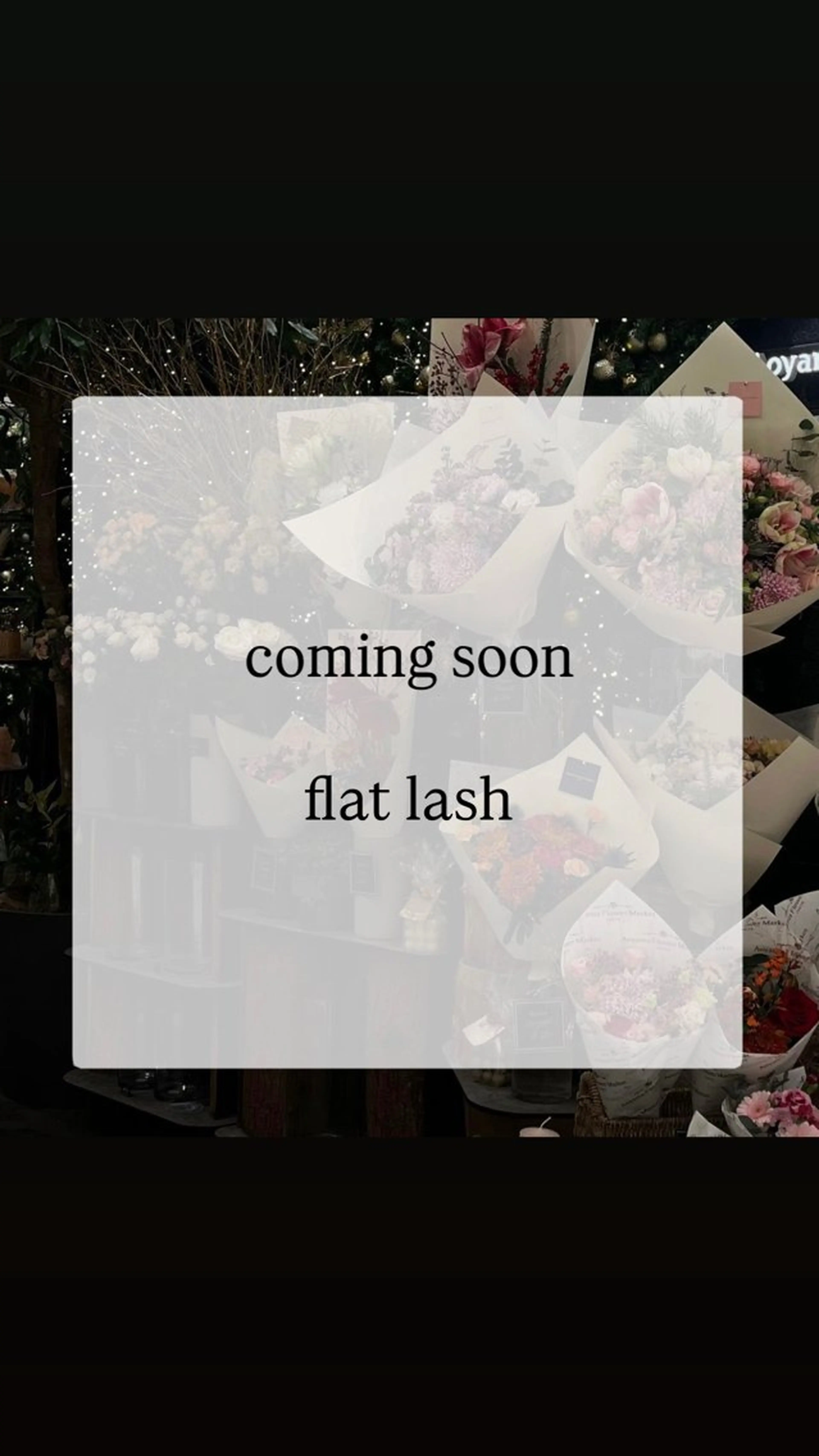 マツエク・マツパ 付け放題 フラットラッシュ 長 井のマツエク・マツパデザイン