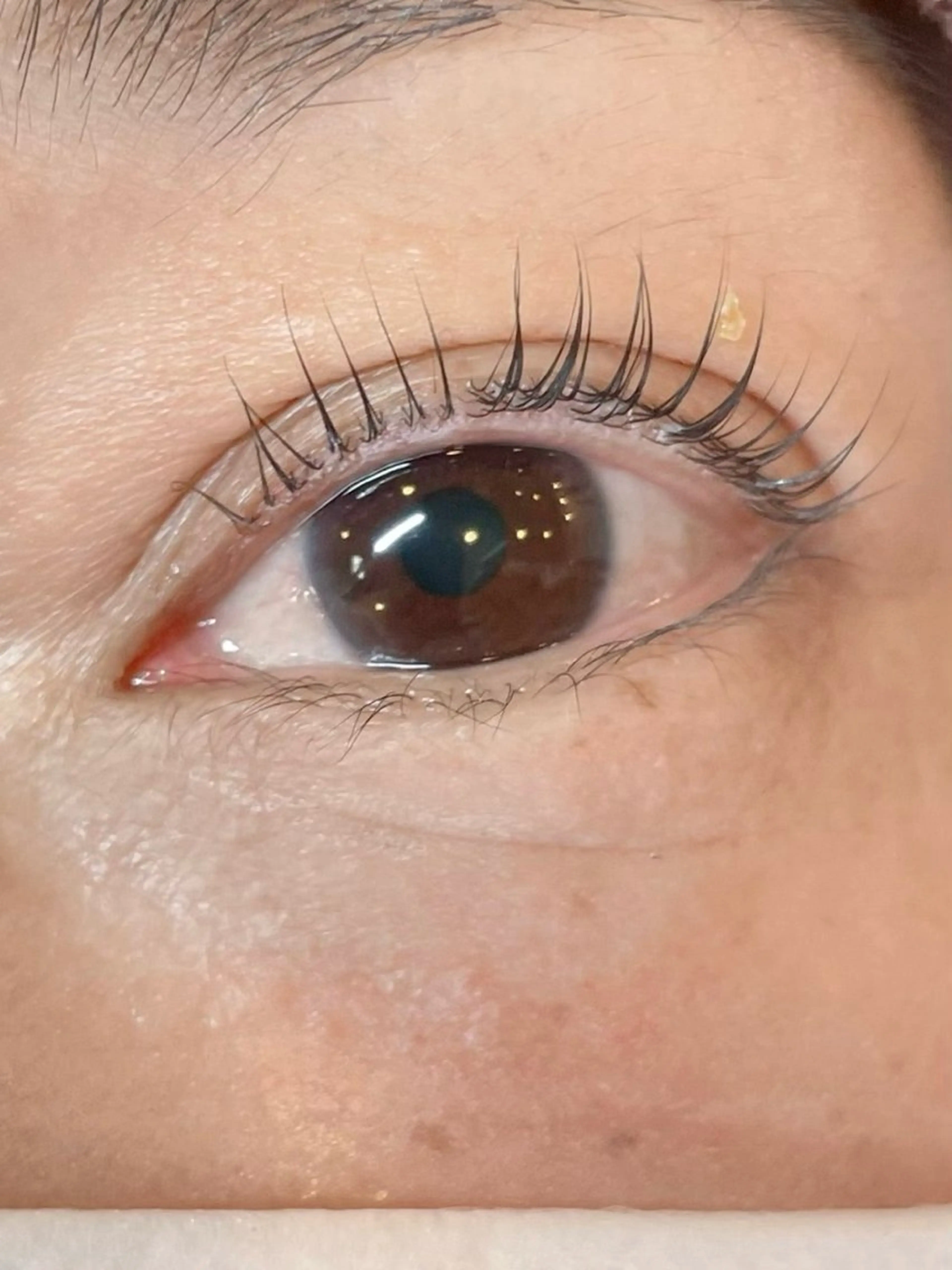 マツエク・マツパ Butterfly 平塚店　中島のマツエク・マツパデザイン