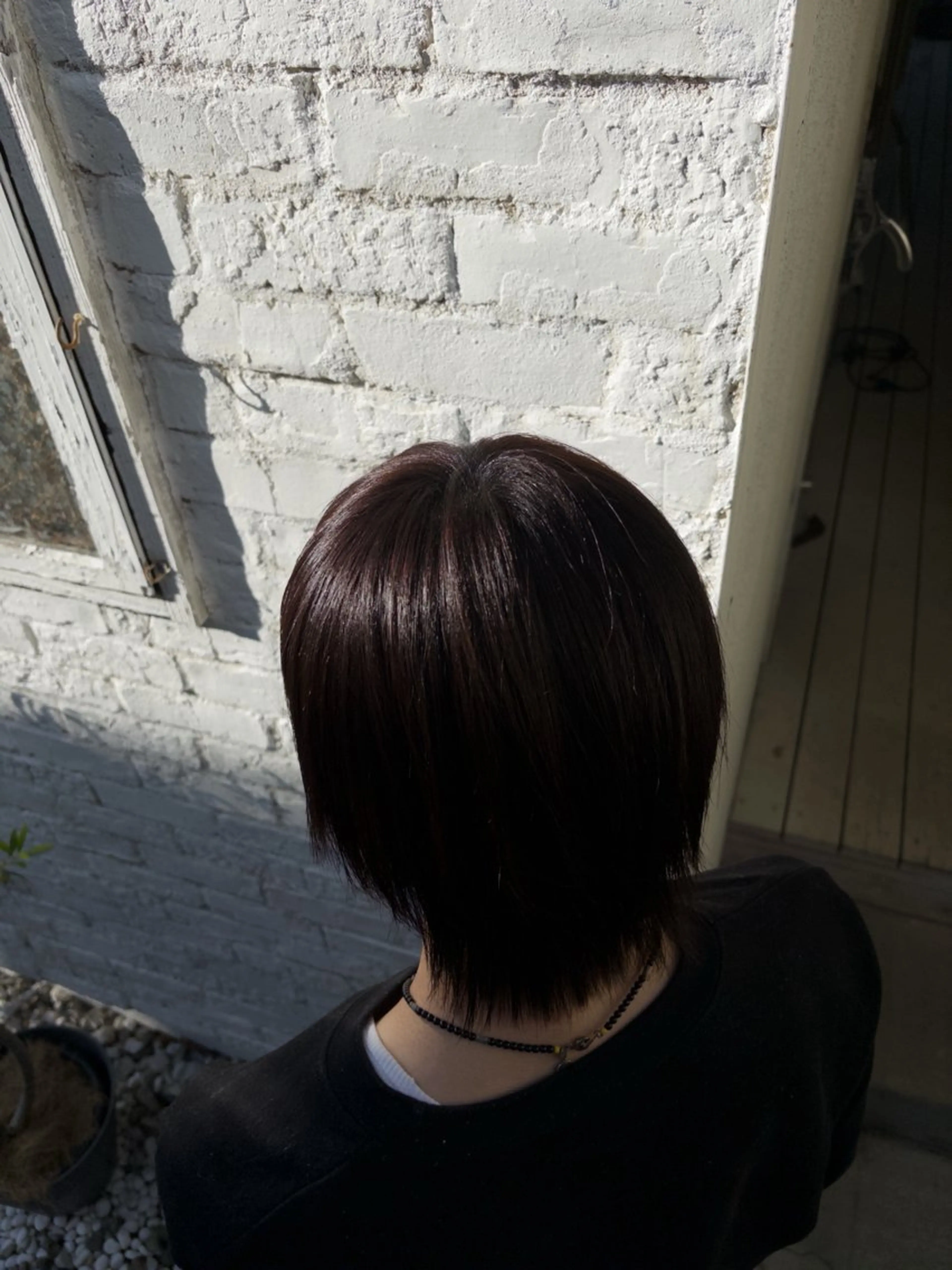 ショート カラー SHO 👻原宿 /艶カラーのヘアスタイル