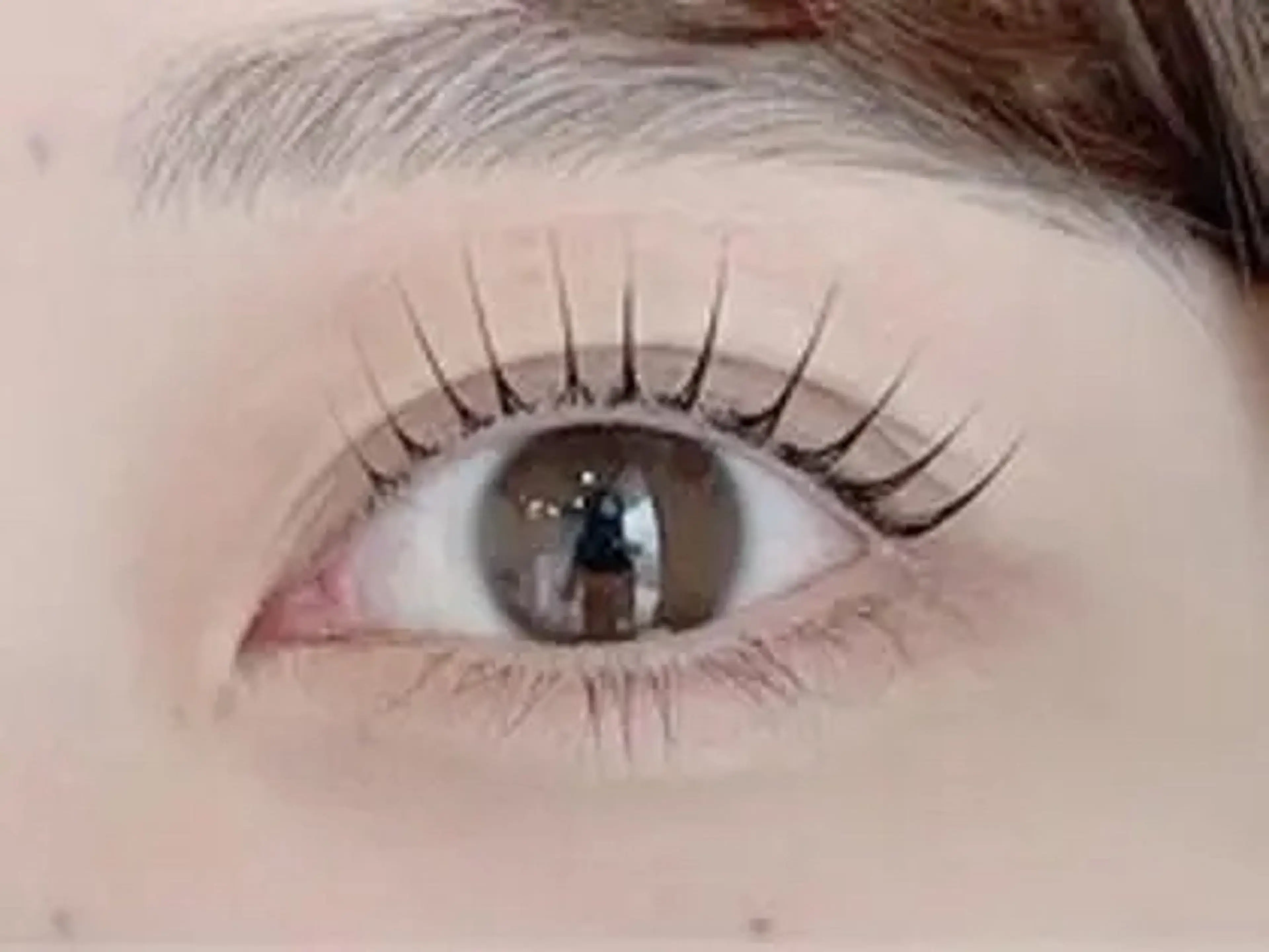 【📷撮影モデル🫧】しっかり立ち上げ長さを強調するパリジェンヌ　−100円ok✨の写真