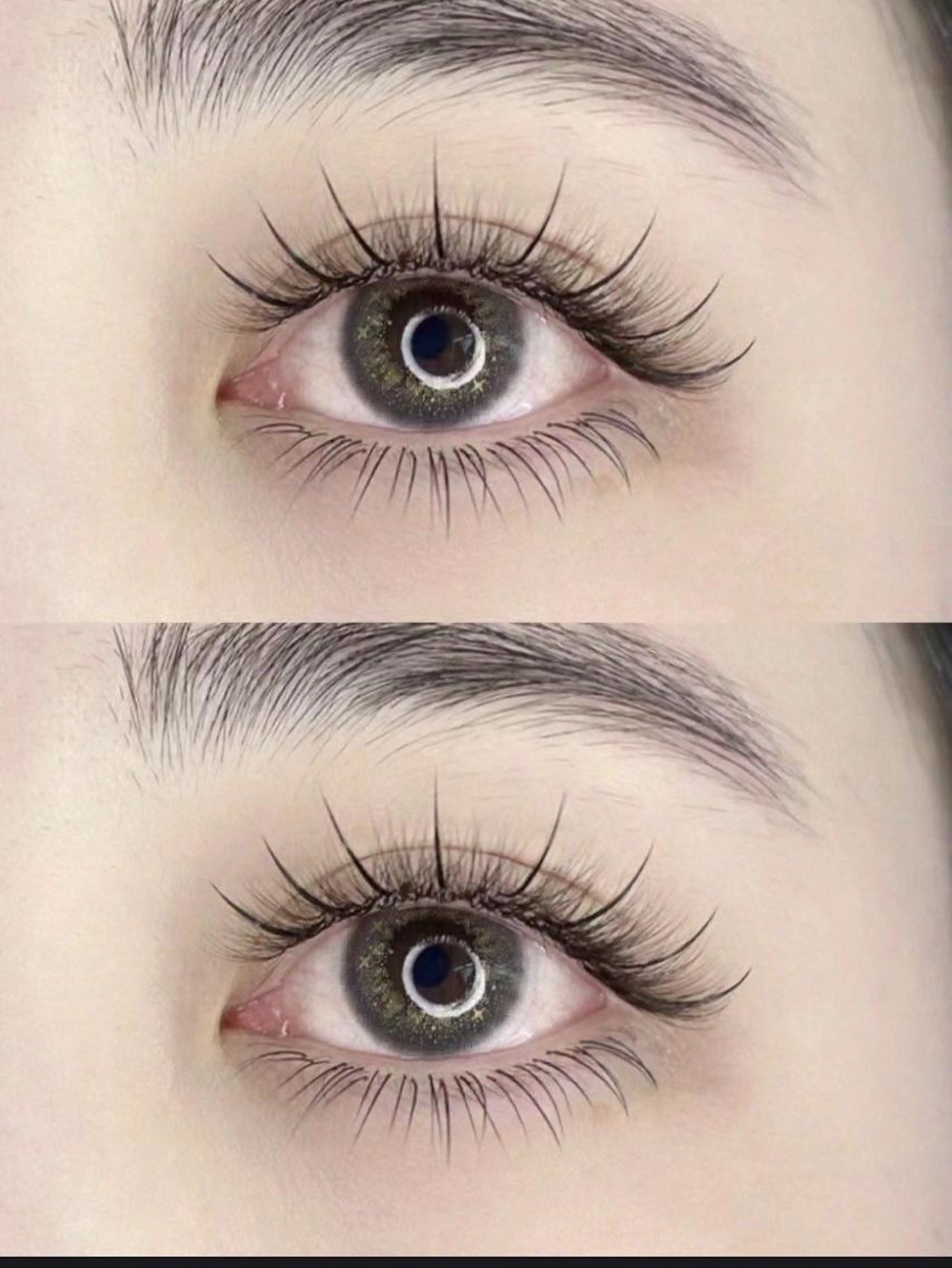 🉐NEW 太陽花100本フラットラッシュ＆コーティング仕上げの写真