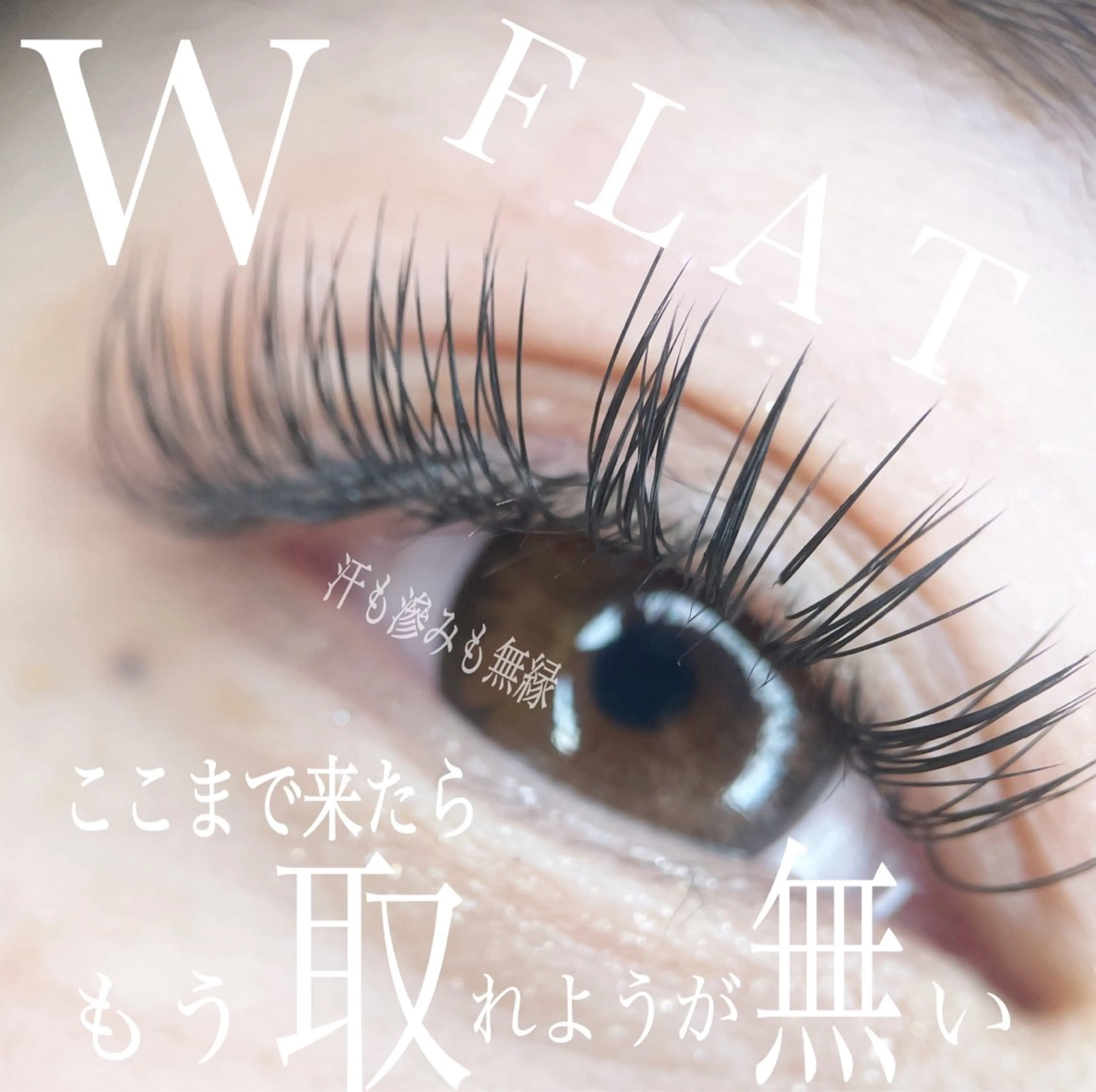 マツエク・マツパ 山城 エスタの眉毛・アイブロウイメージ