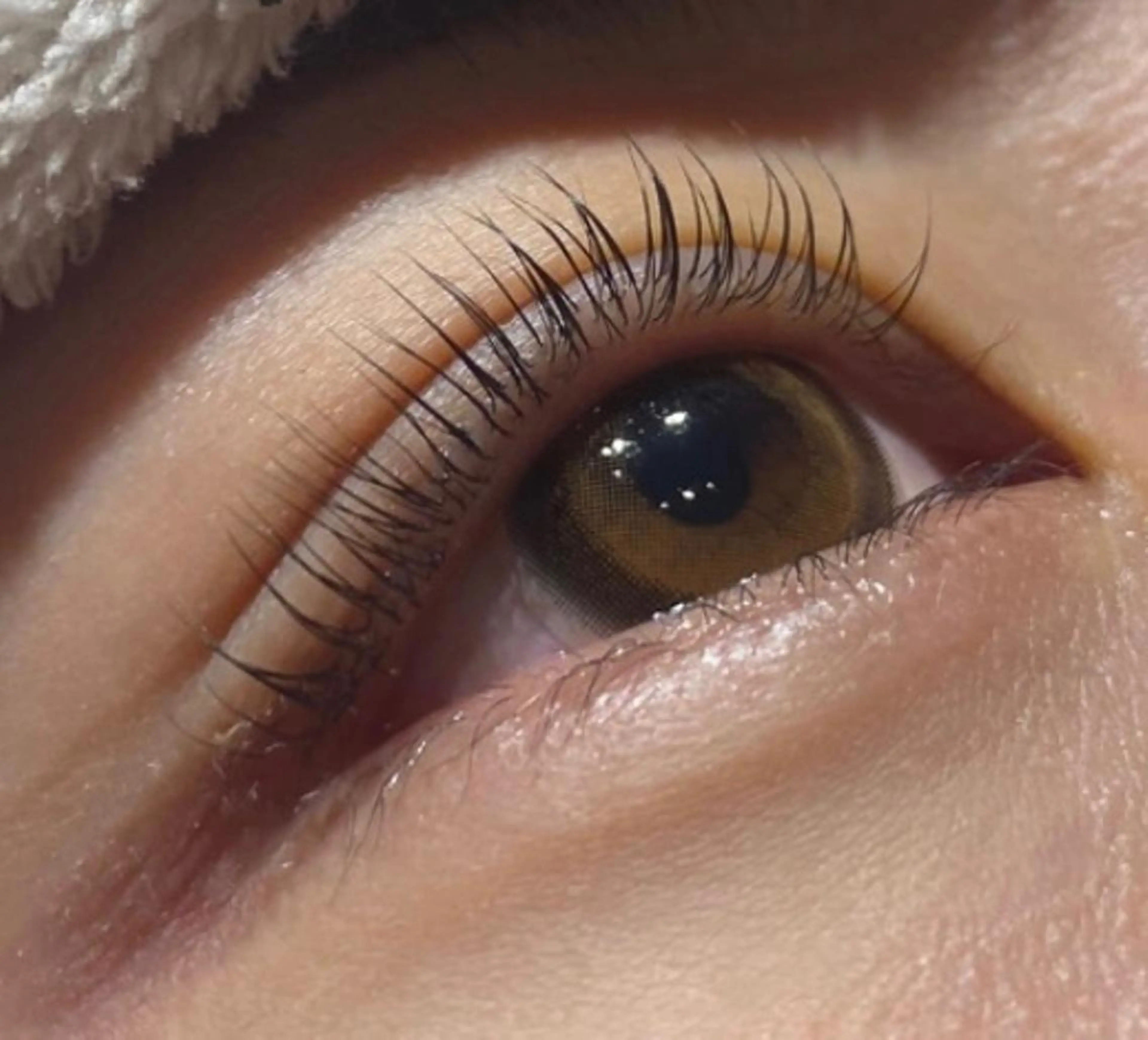 マツエク・マツパ メンズパーマ眉毛 特化アユム🔥のヘアスタイル