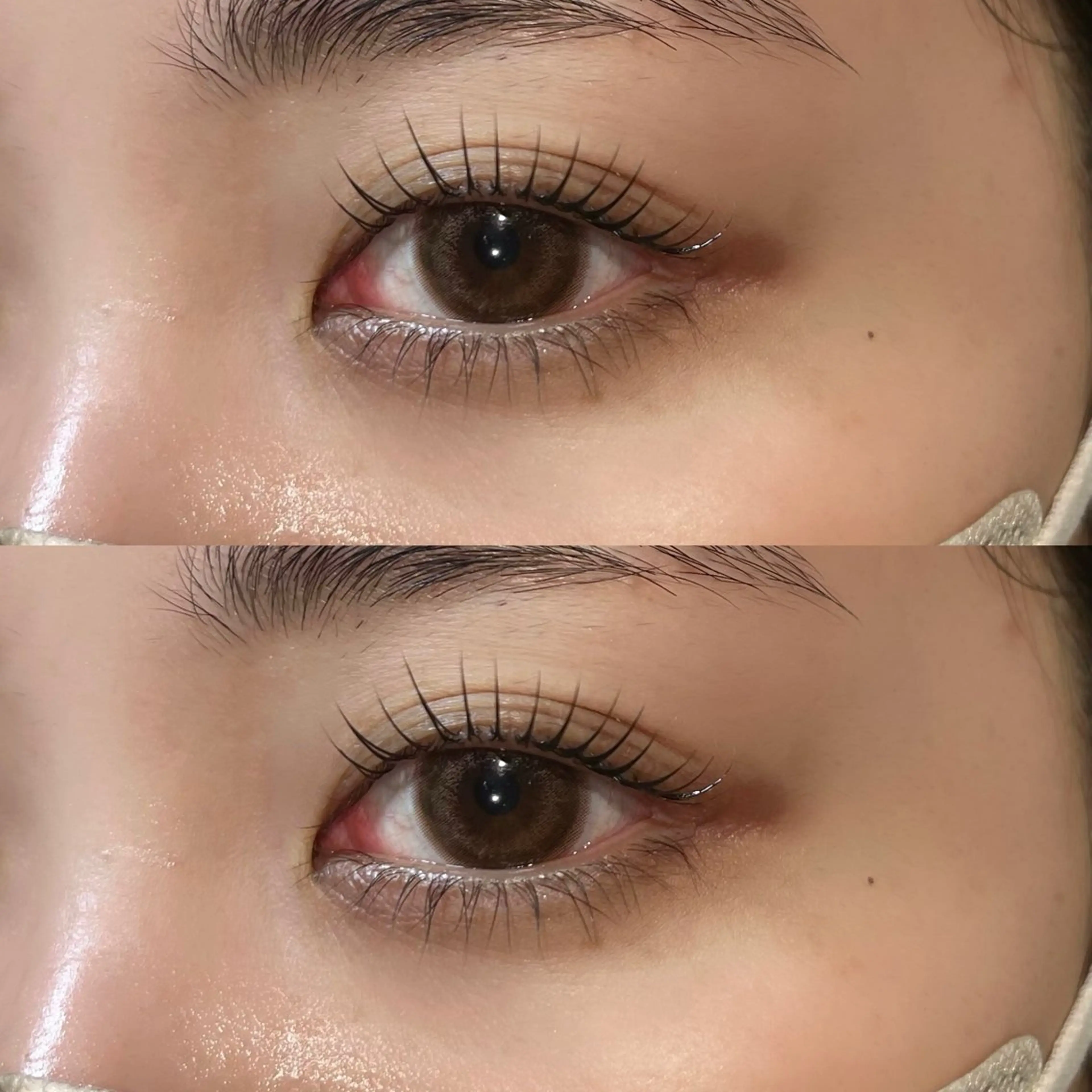 ใใใจใฏใปใใใ ๐๐๐๐๐ ๆ่ฑใฎใใใจใฏใปใใใใใถใคใณ