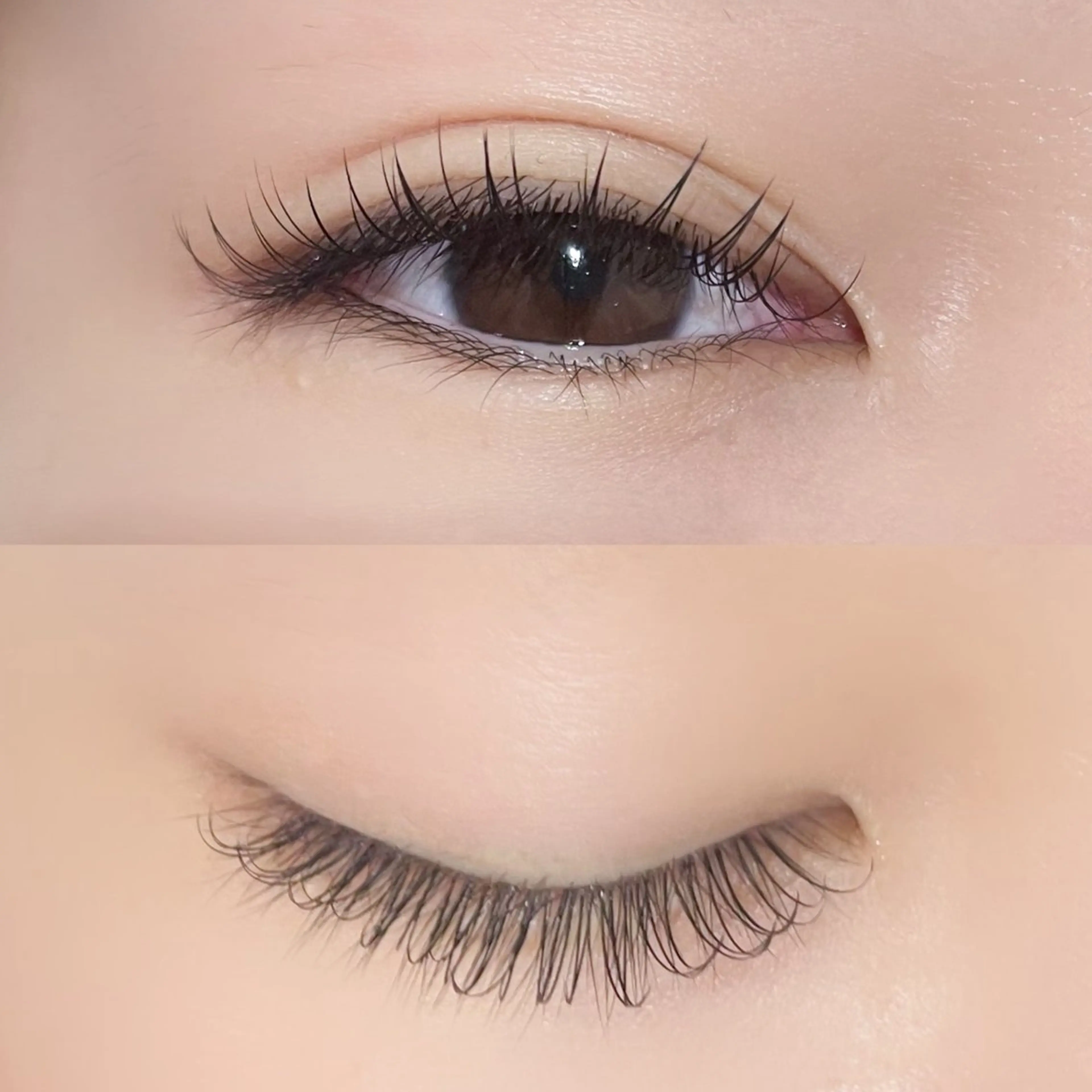 【平日限定❕】💙フラットマットラッシュ80本~💙〘 束感がお好きな方にオススメ 〙¥3900~の写真