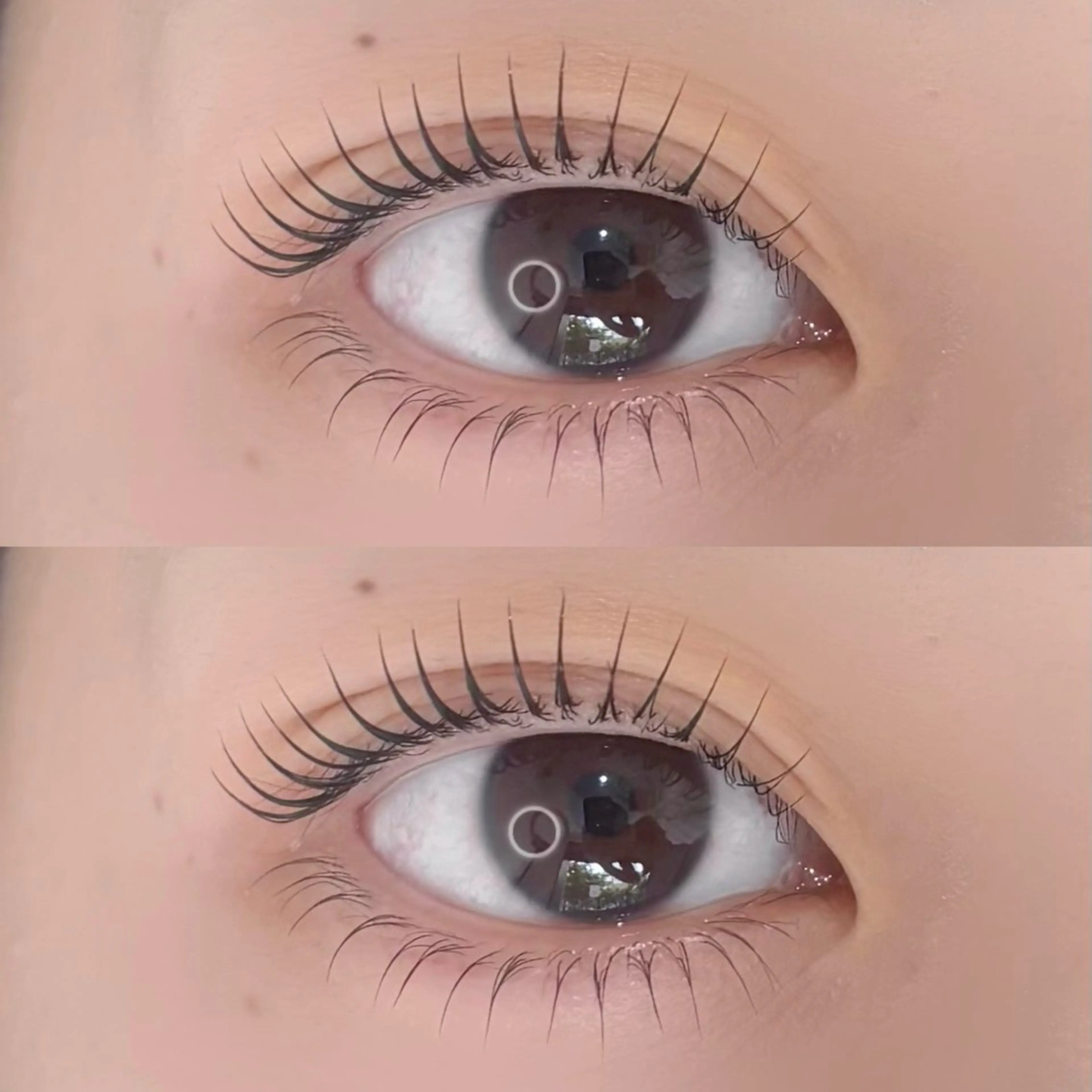 《上下まつ毛パーマ》束感仕上げ付き ꒰🩶꒱の写真