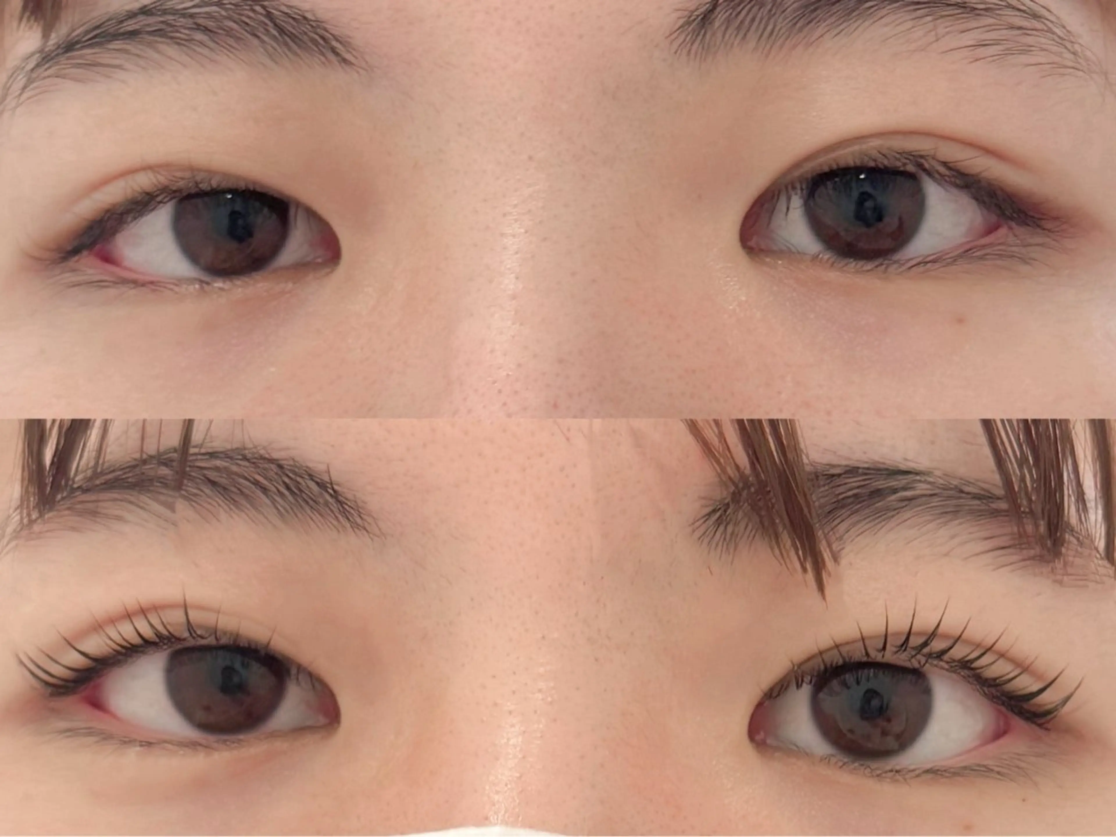 マツエク・マツパ 🧸Lily船橋 石川🌿‬のマツエク・マツパデザイン