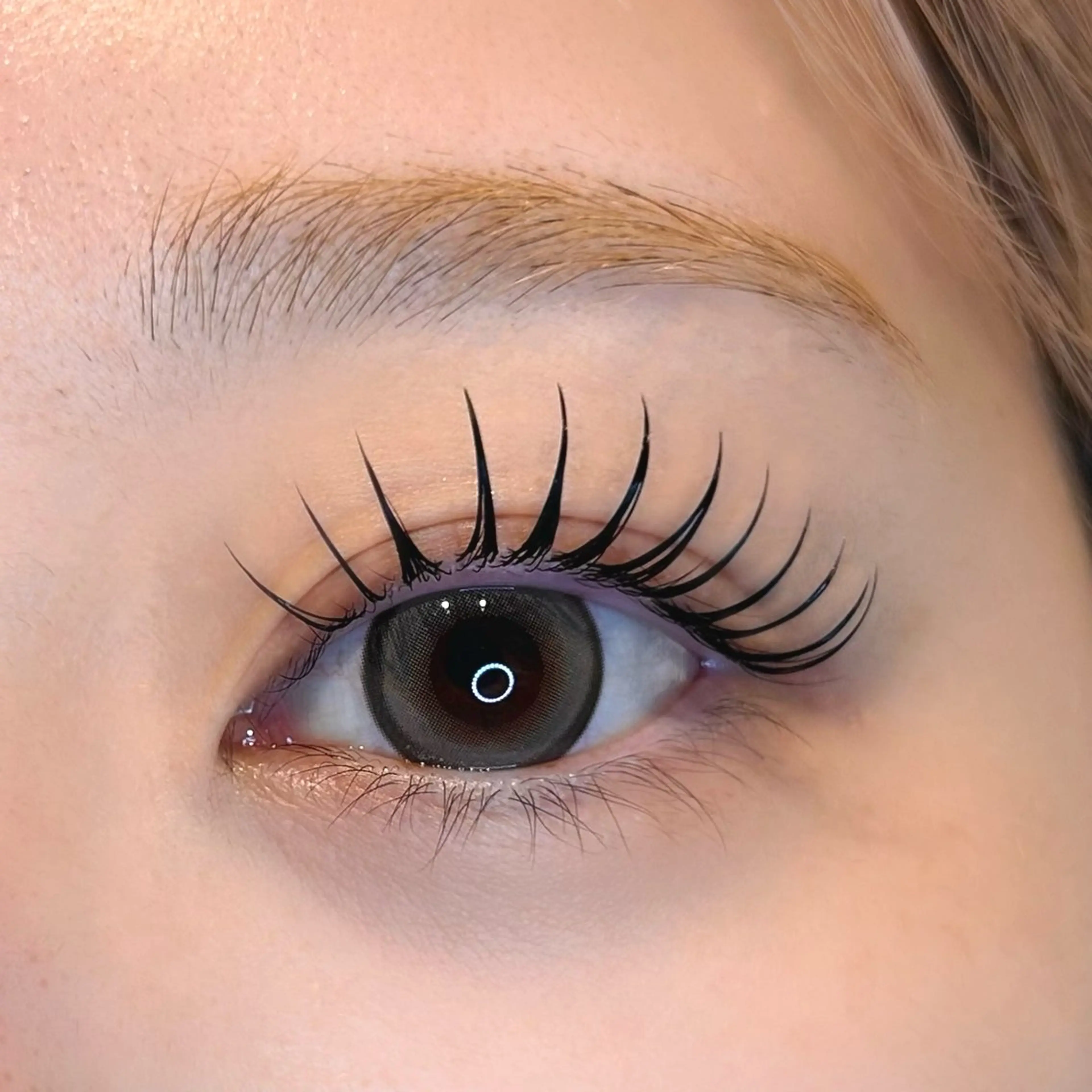 マツエク・マツパ ELRe 五反田店のマツエク・マツパデザイン